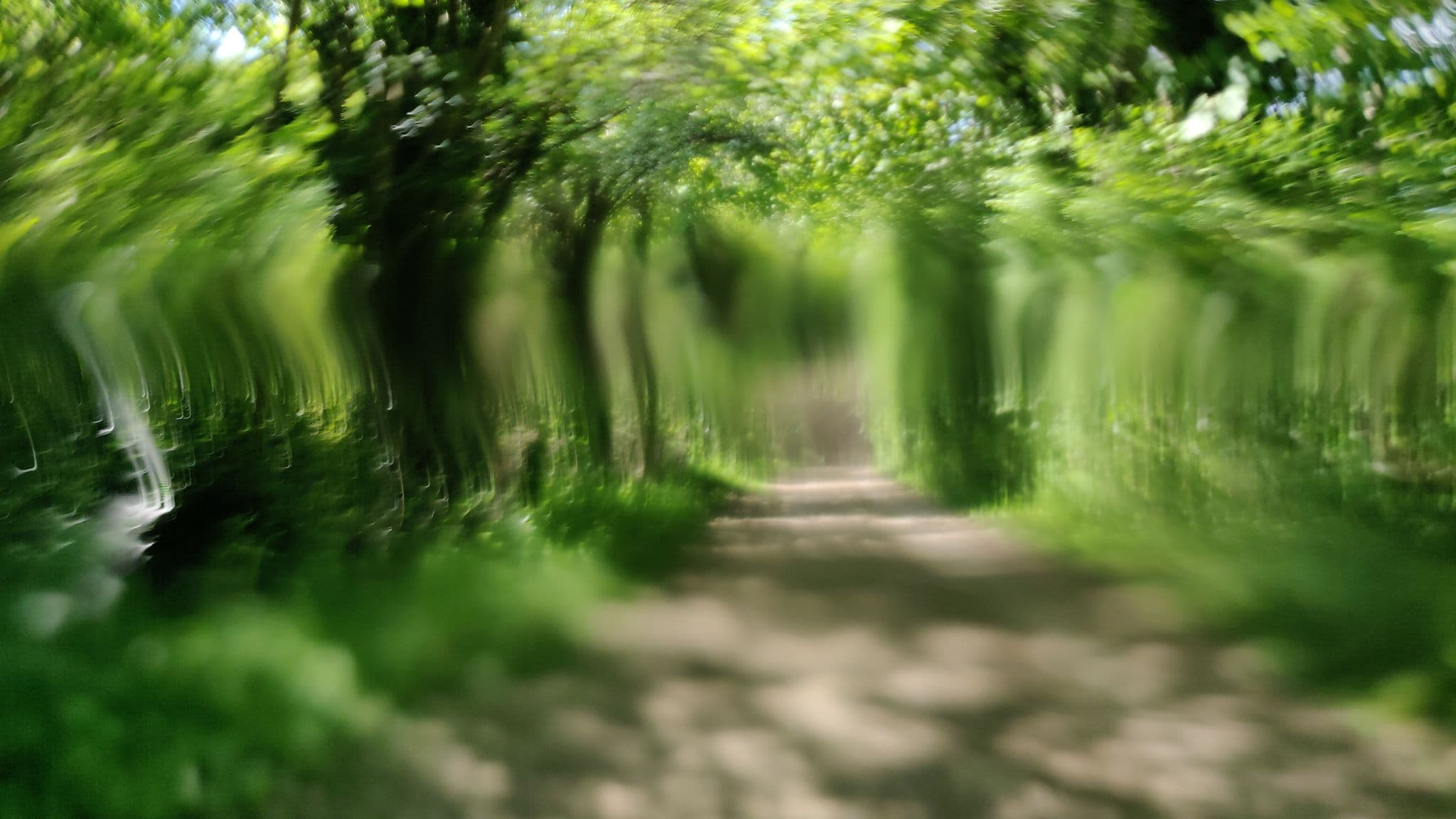 Street view near Slinfold Caravan Club Site, Slinfold — © matt_ellery (CC BY-SA · Mapillary)