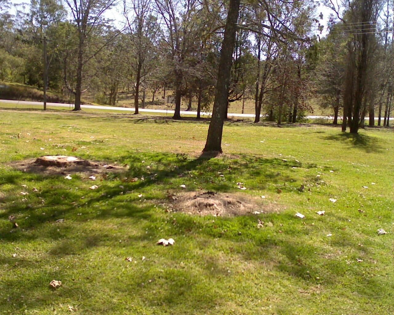 Street view near Urbenville Forest Park, Figtree — © bob3bob3 (CC BY-SA · Mapillary)
