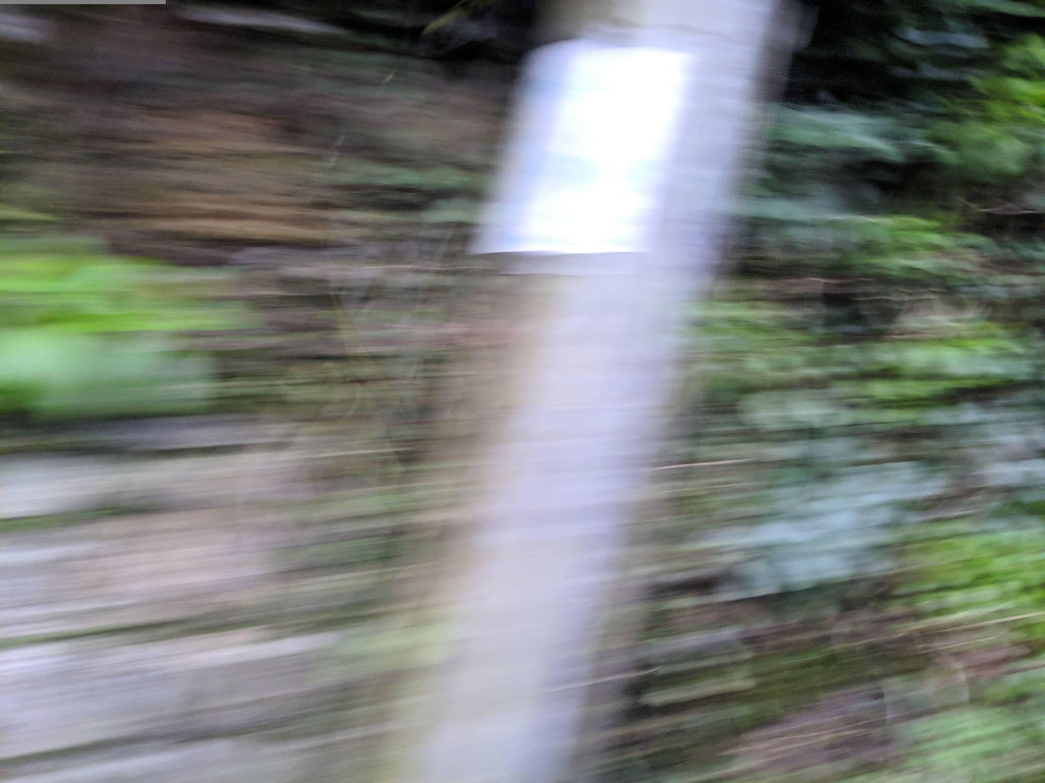 Street view near South Dartmoor Bunkhouse (Groups only), Buckfastleigh — © WaggyDog (CC BY-SA · Mapillary)