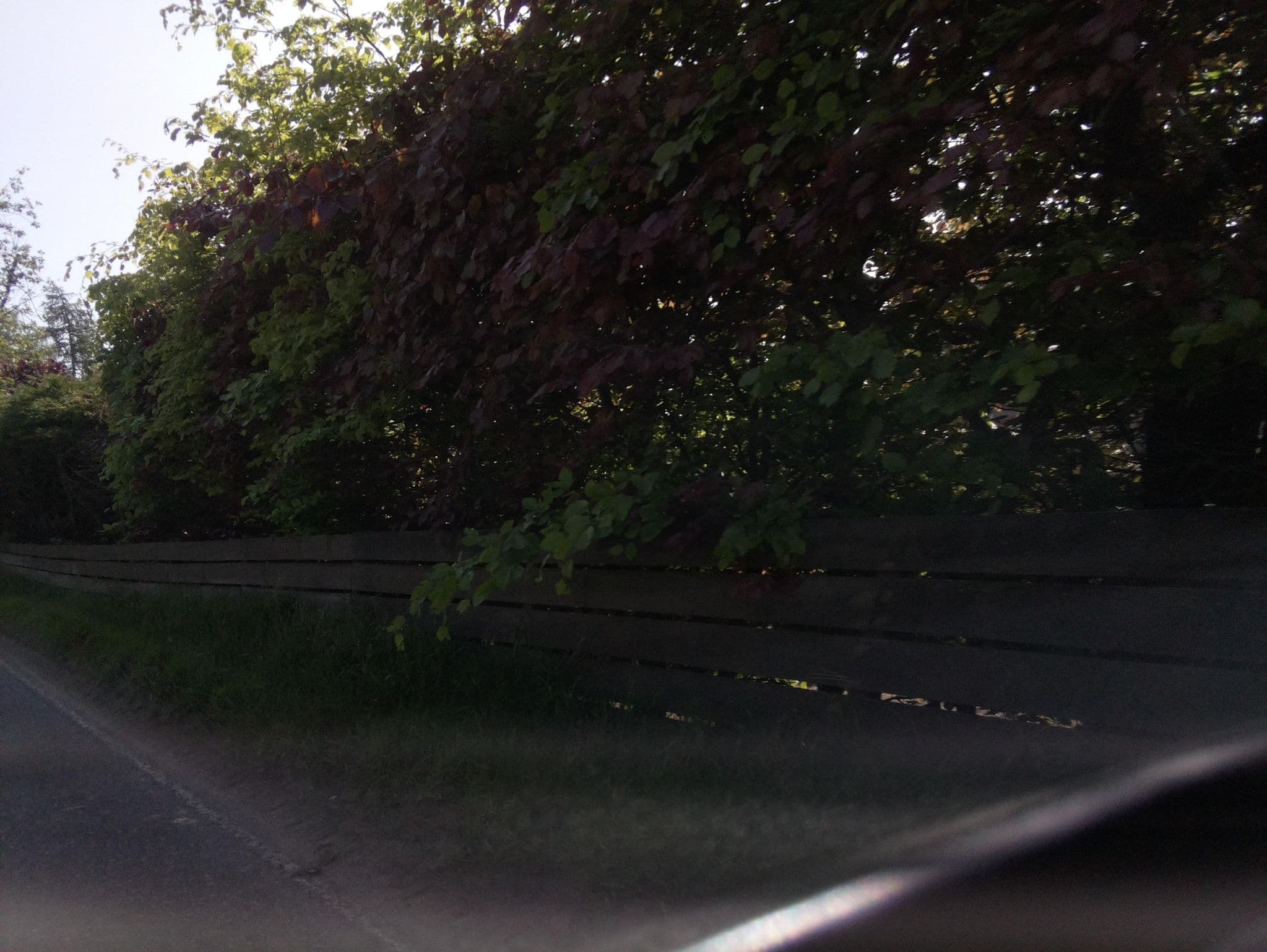 Street view near Creag Meggan, Ballater — © southglos (CC BY-SA · Mapillary)