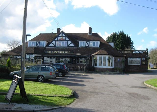 The Hampshire Hog (via Wikimedia Commons, CC BY-SA 2.0)
