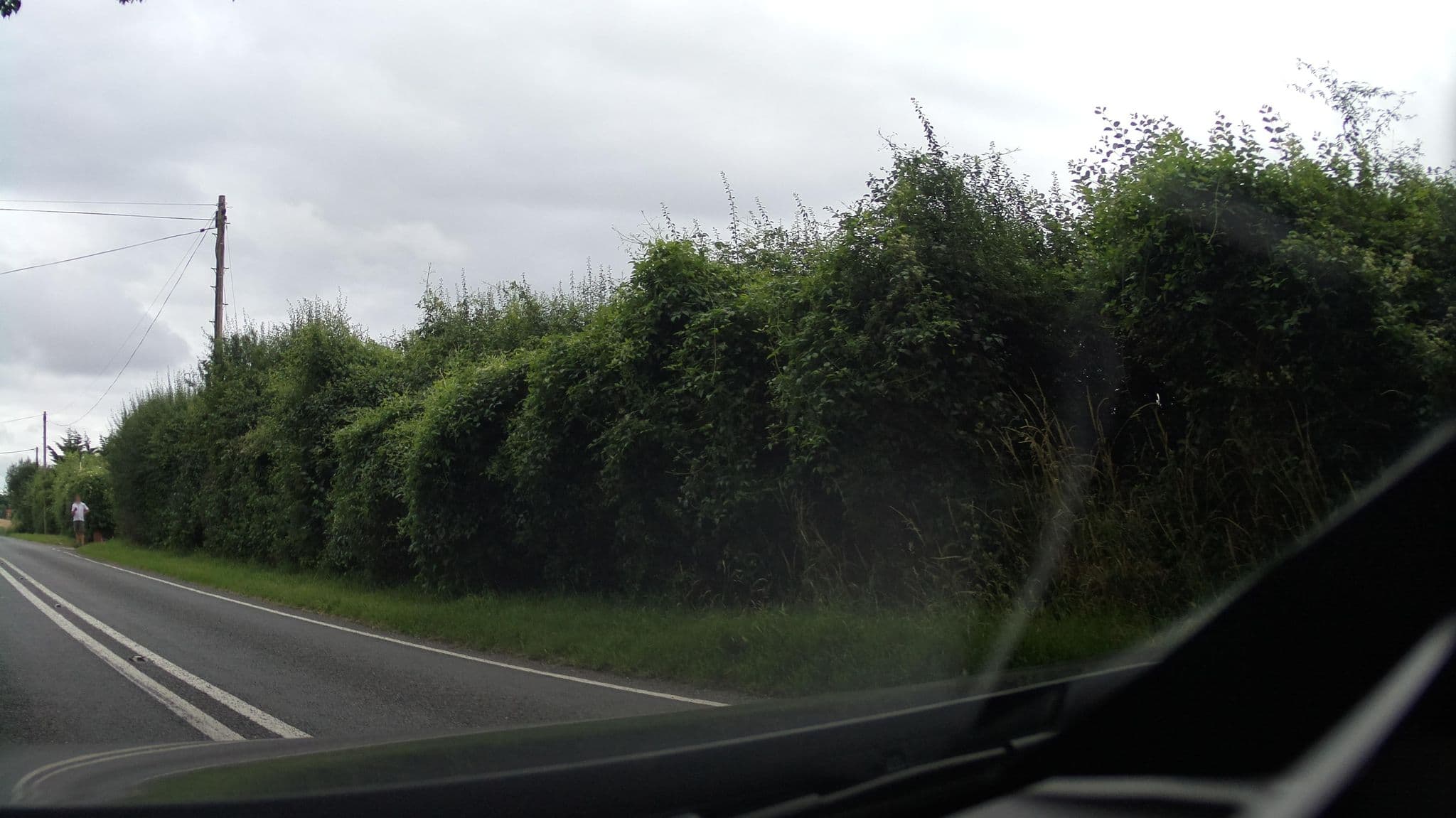 Street view near Greenacres, Winchester — © southglos (CC BY-SA · Mapillary)