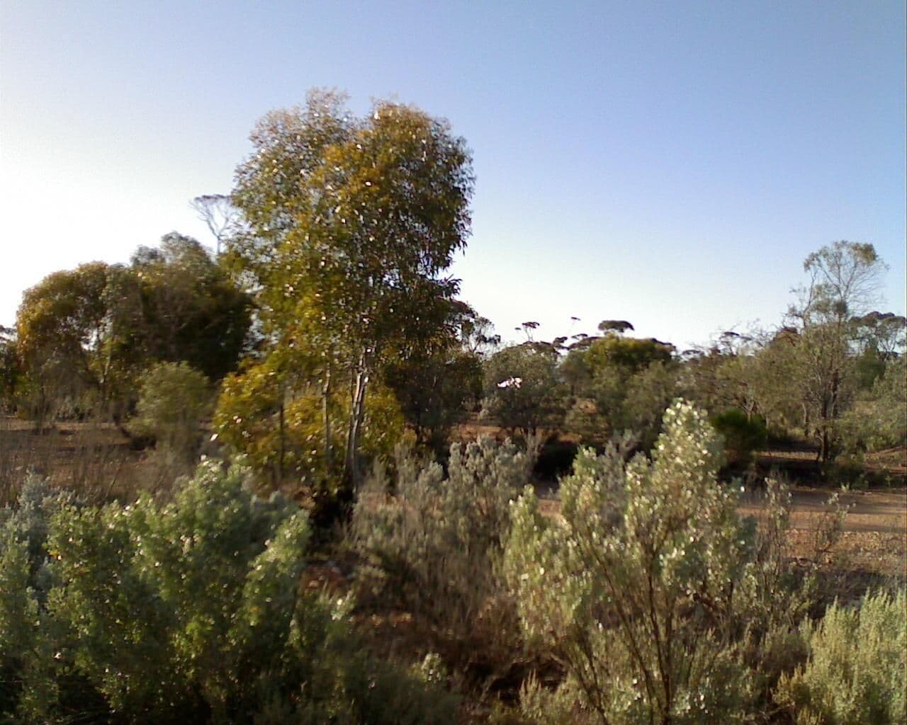 Street view near Woorlba Homestead Rest Area, Castletown — © bob3bob3 (CC BY-SA · Mapillary)