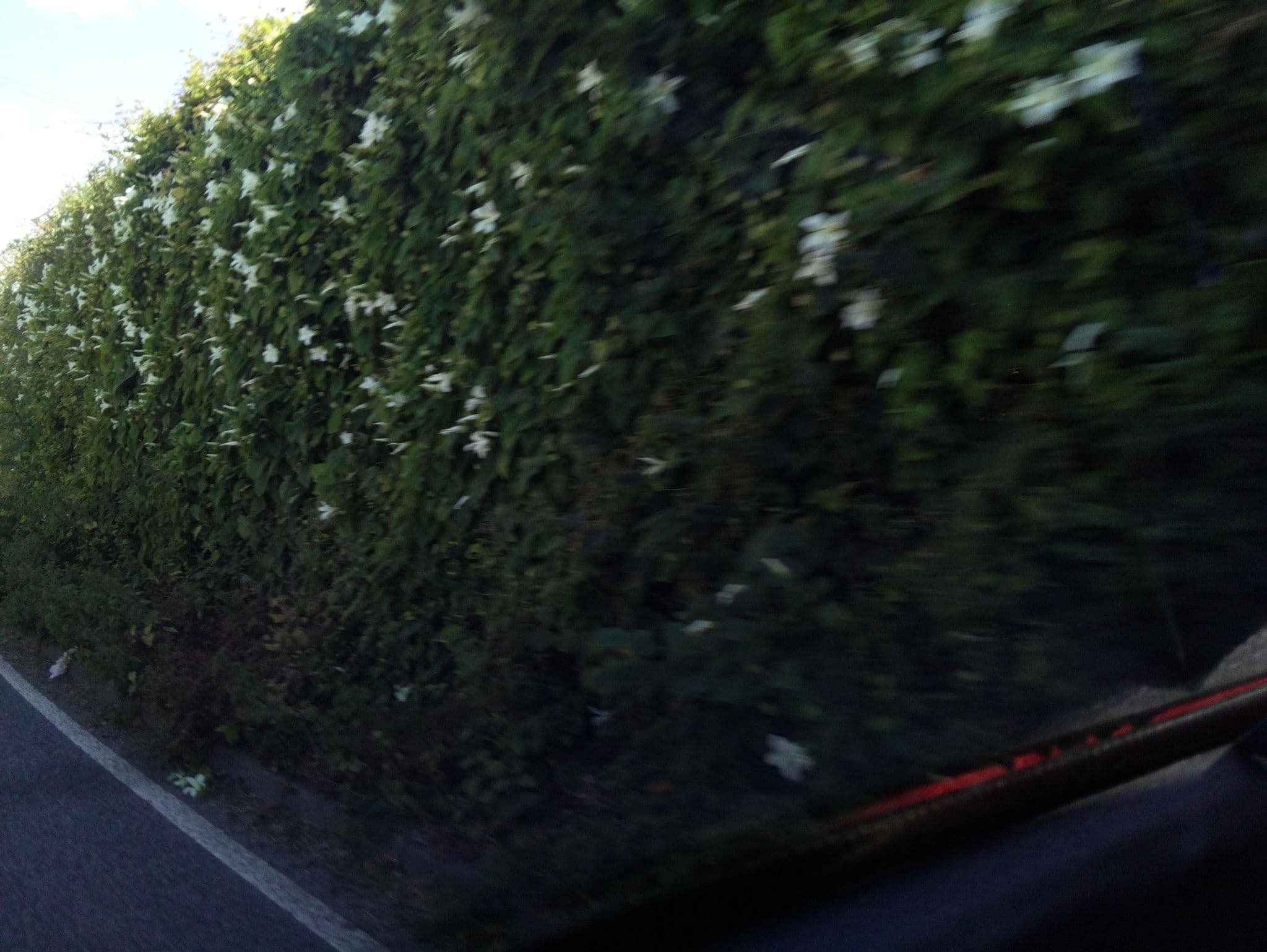 Street view near Gwesty Llanina Arms, Aberaeron — © southglos (CC BY-SA · Mapillary)