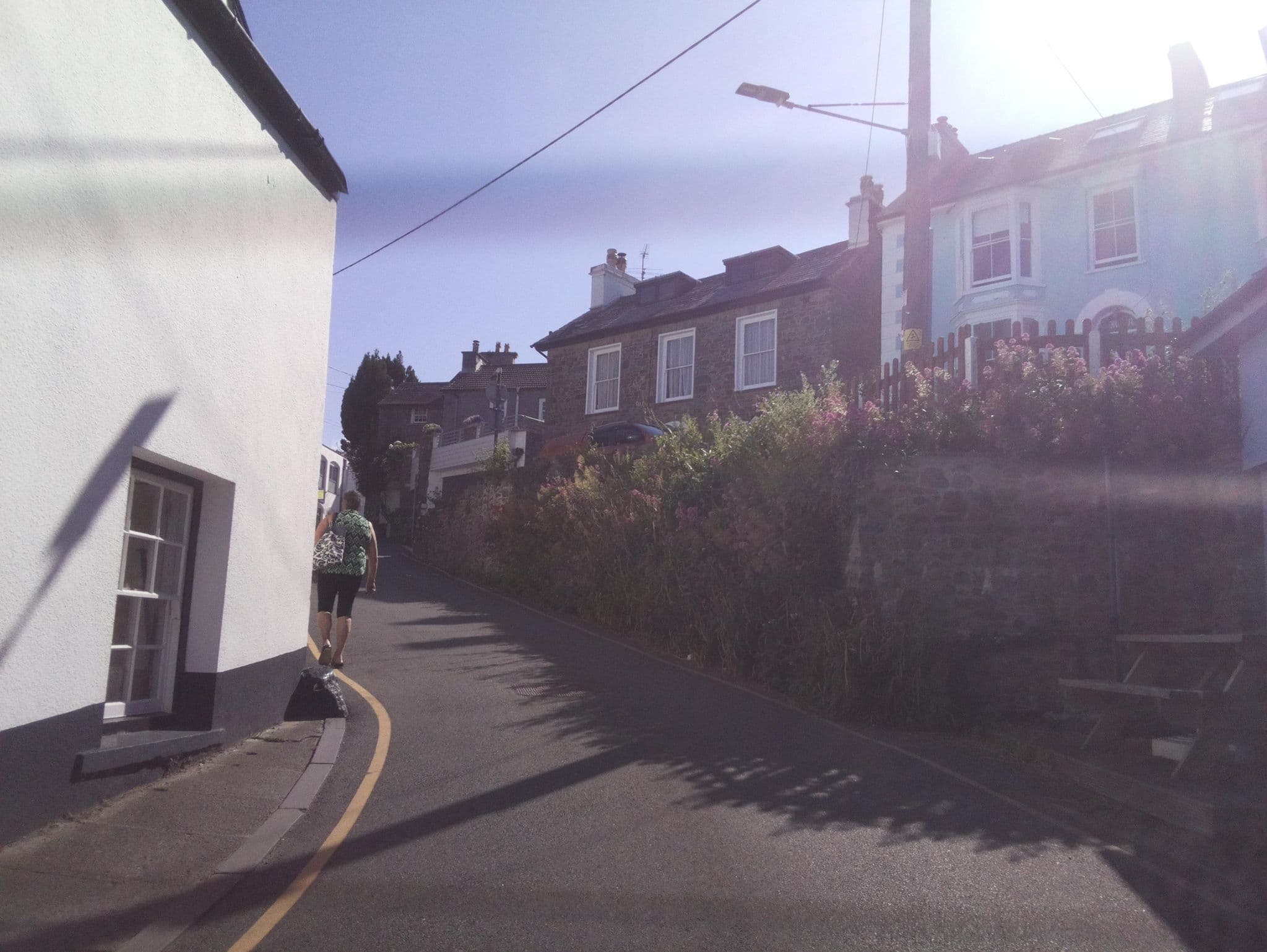 Street view near Black Lion Inn, Aberaeron — © southglos (CC BY-SA · Mapillary)