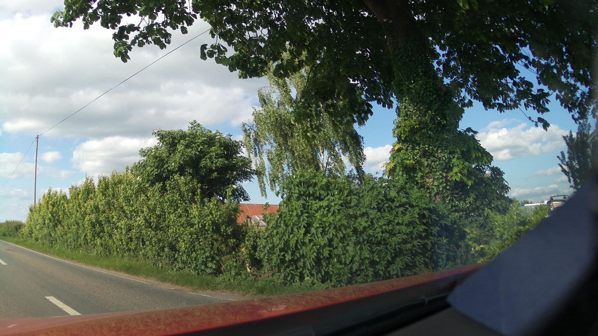 Street view near Thornhills Farm, Westonzoyland — © southglos (CC BY-SA · Mapillary)