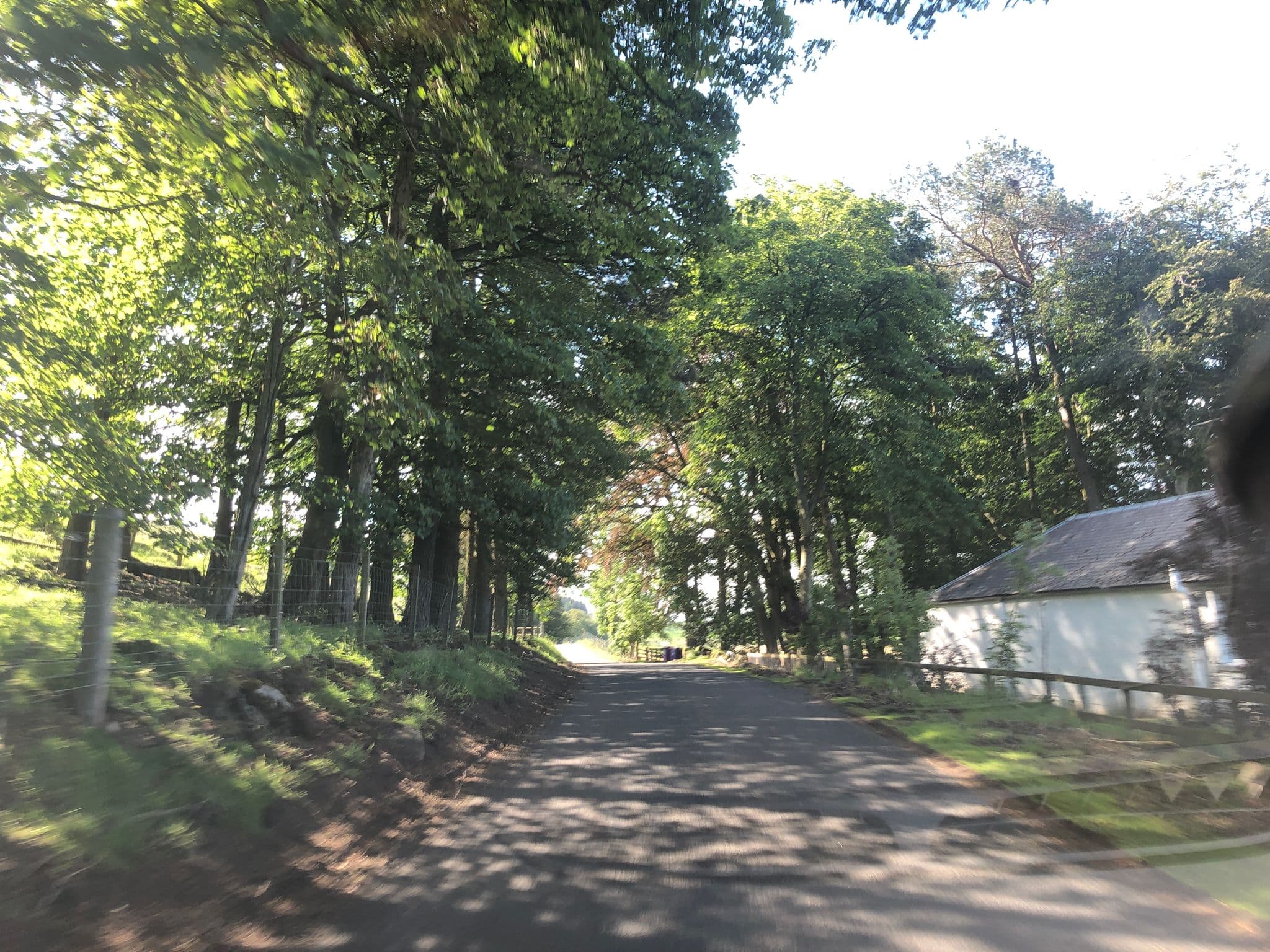 Street view near Whitehillocks Cottage, Kirriemuir — © drnoble (CC BY-SA · Mapillary)