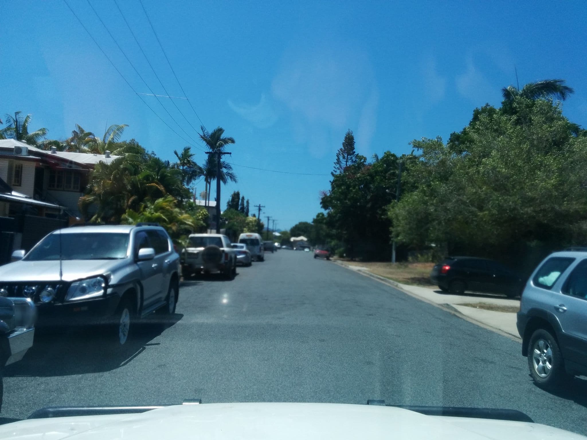 Street view near Tropic Days, Parramatta Park — © orbac (CC BY-SA · Mapillary)