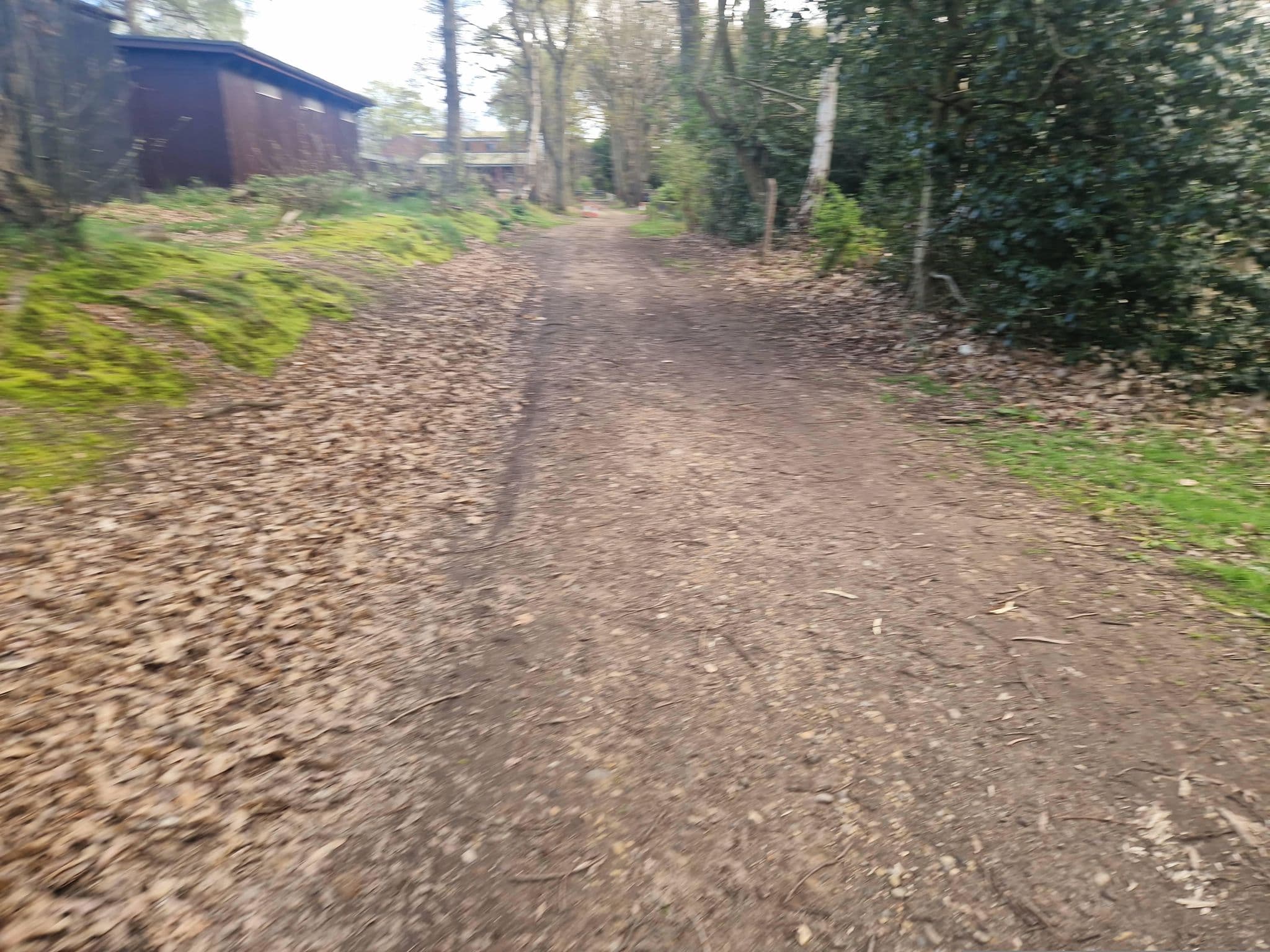 Street view near Thorrington Scout Camp, Alresford — © edloach (CC BY-SA · Mapillary)