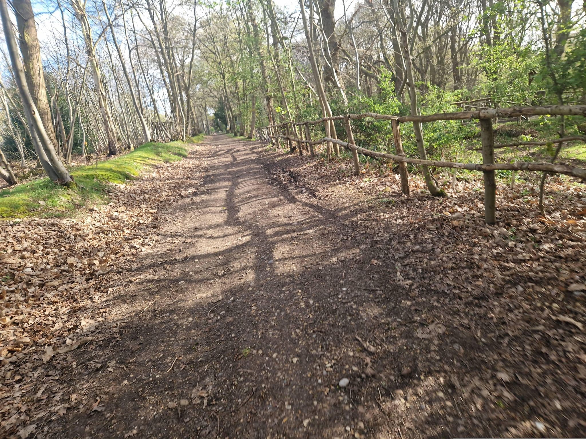 Street view near Birch, Alresford — © edloach (CC BY-SA · Mapillary)
