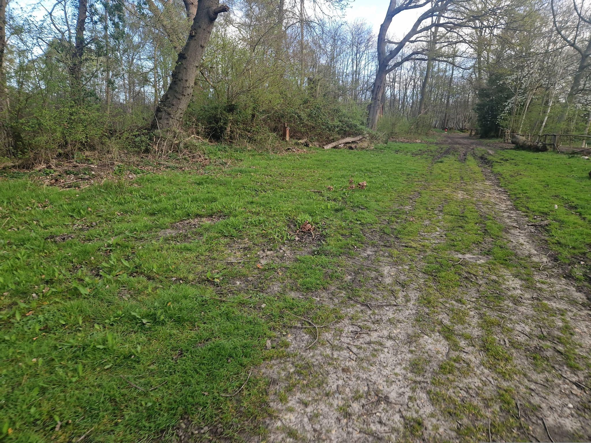 Street view near Fir, Alresford — © edloach (CC BY-SA · Mapillary)