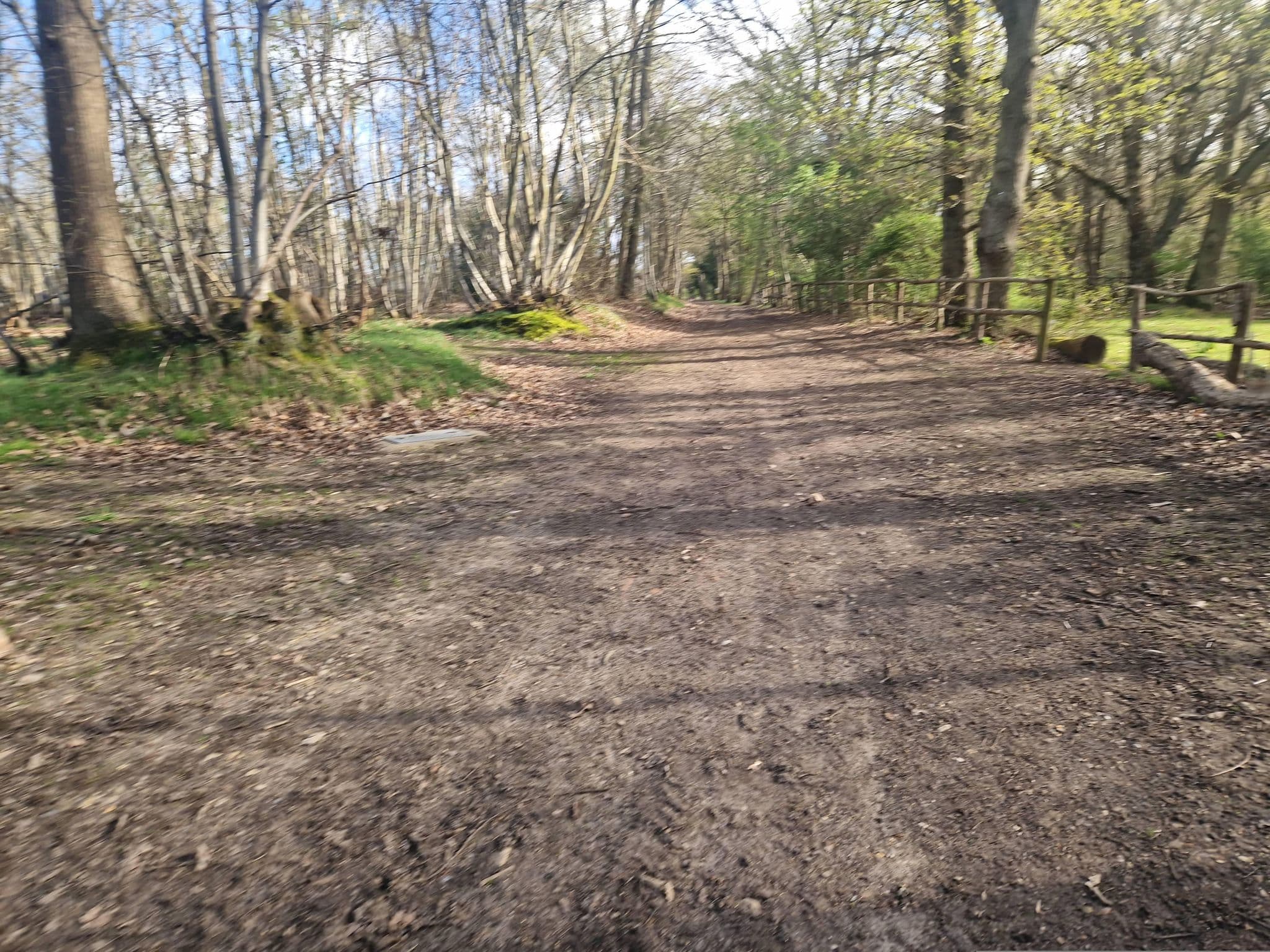 Street view near Gum Tree, Alresford — © edloach (CC BY-SA · Mapillary)