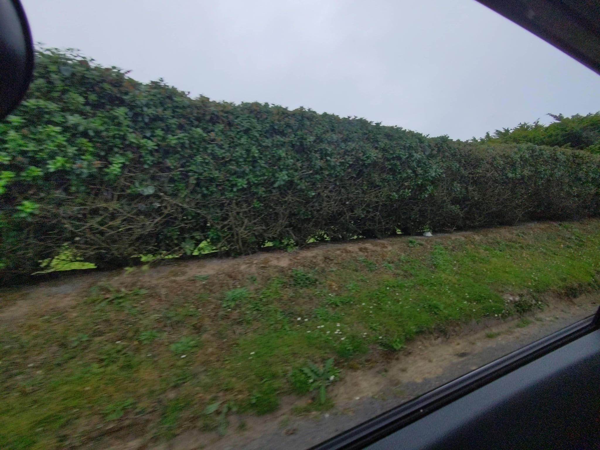 Street view near Braddicks Holidays, Northam — © WaggyDog (CC BY-SA · Mapillary)