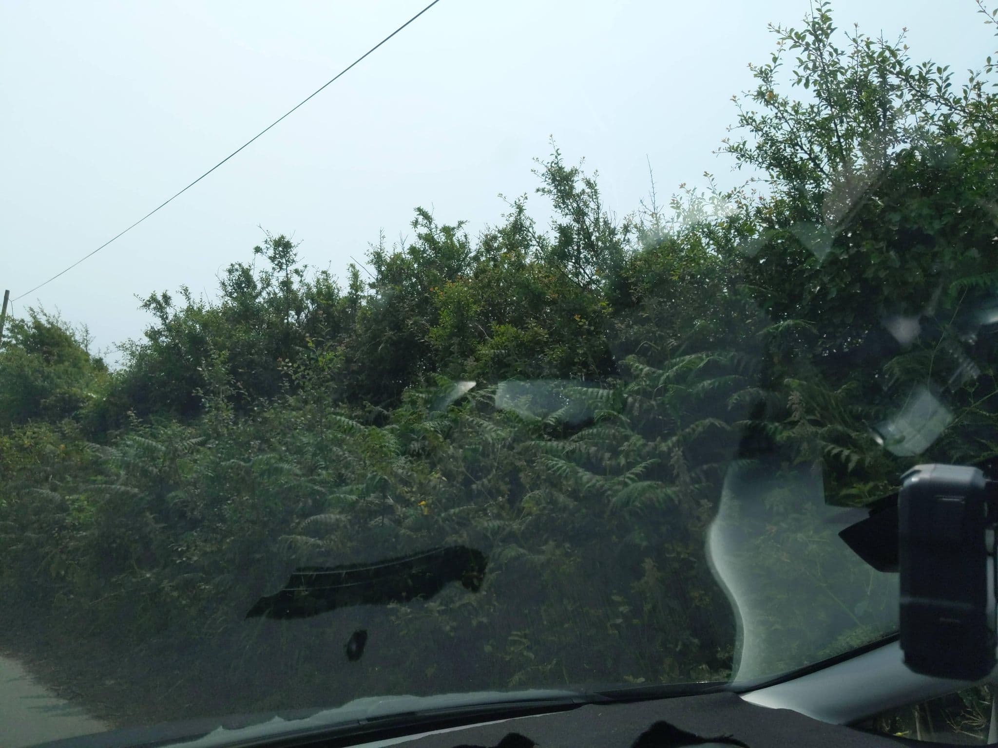 Street view near Mollie Tuckers Field, Salcombe — © WaggyDog (CC BY-SA · Mapillary)