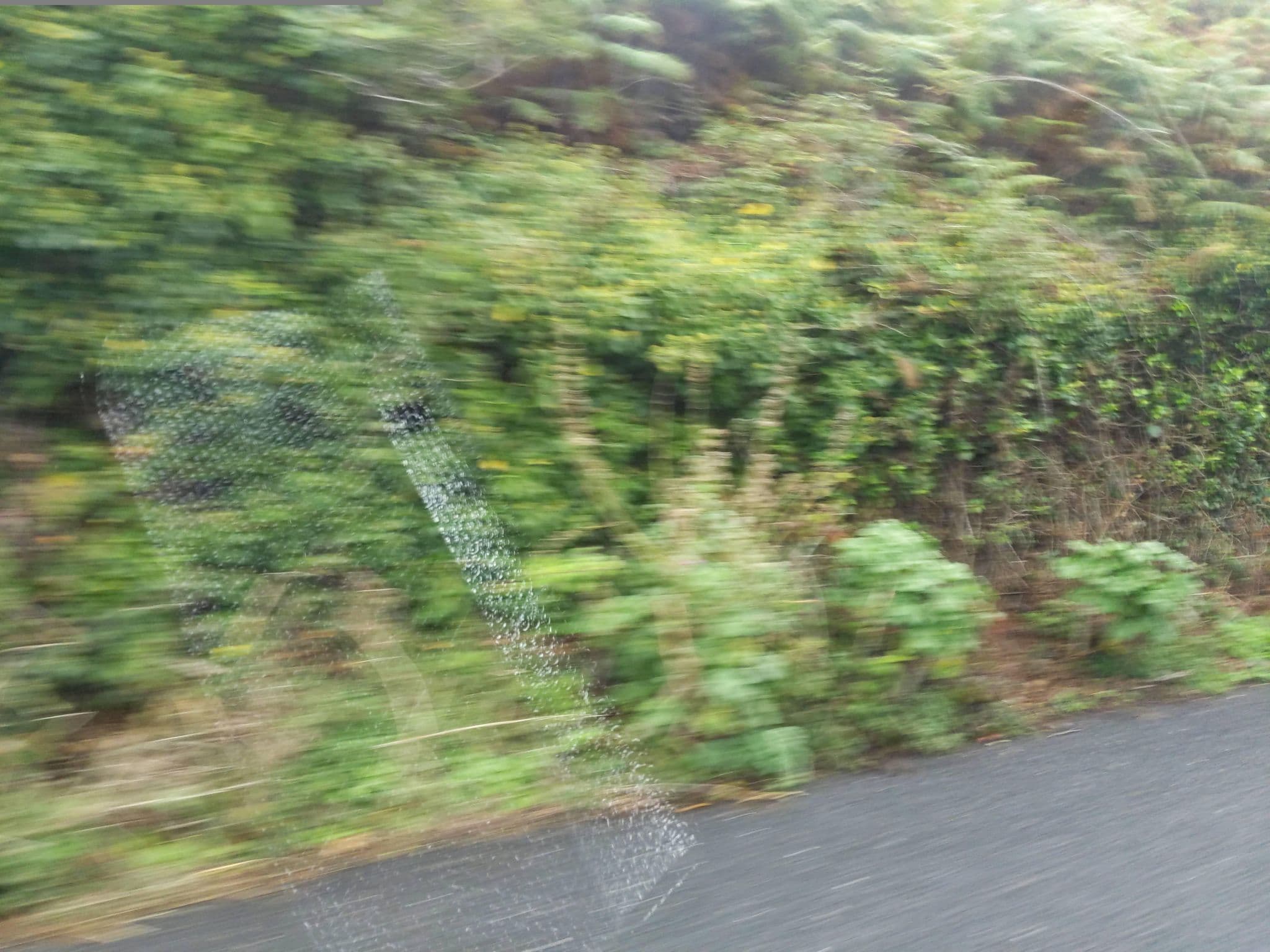 Street view near Penlee Caravan Park, Penzance — © WaggyDog (CC BY-SA · Mapillary)