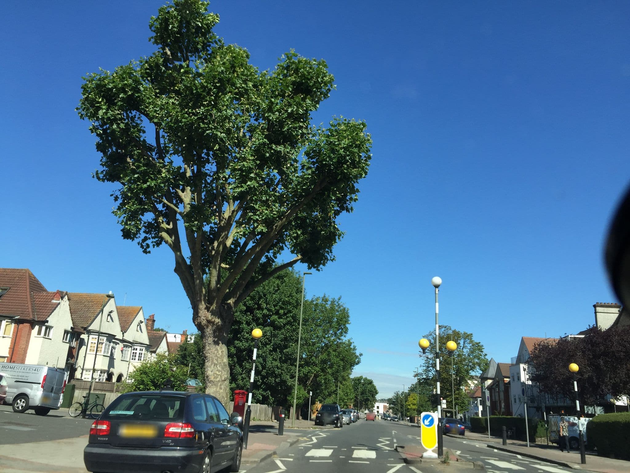Street view near King Solomon Hotel, Golders Green — © tcoppel (CC BY-SA · Mapillary)