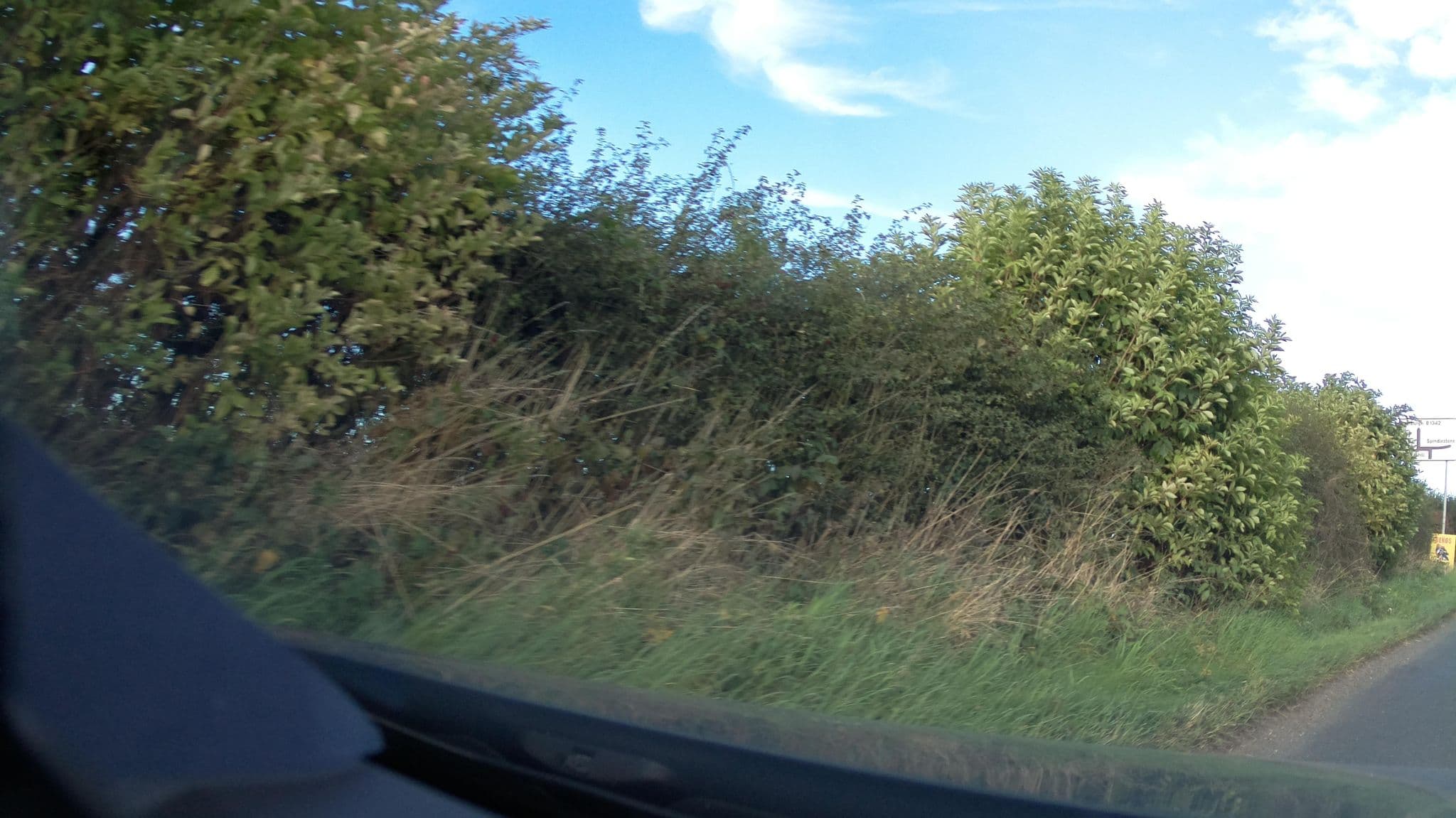 Street view near Puffin, Belford — © southglos (CC BY-SA · Mapillary)