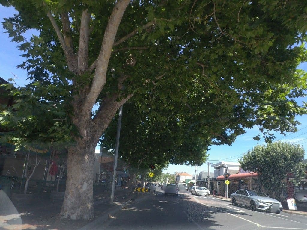 Street view near Border Inn Hotel, Bacchus Marsh — © mander (CC BY-SA · Mapillary)