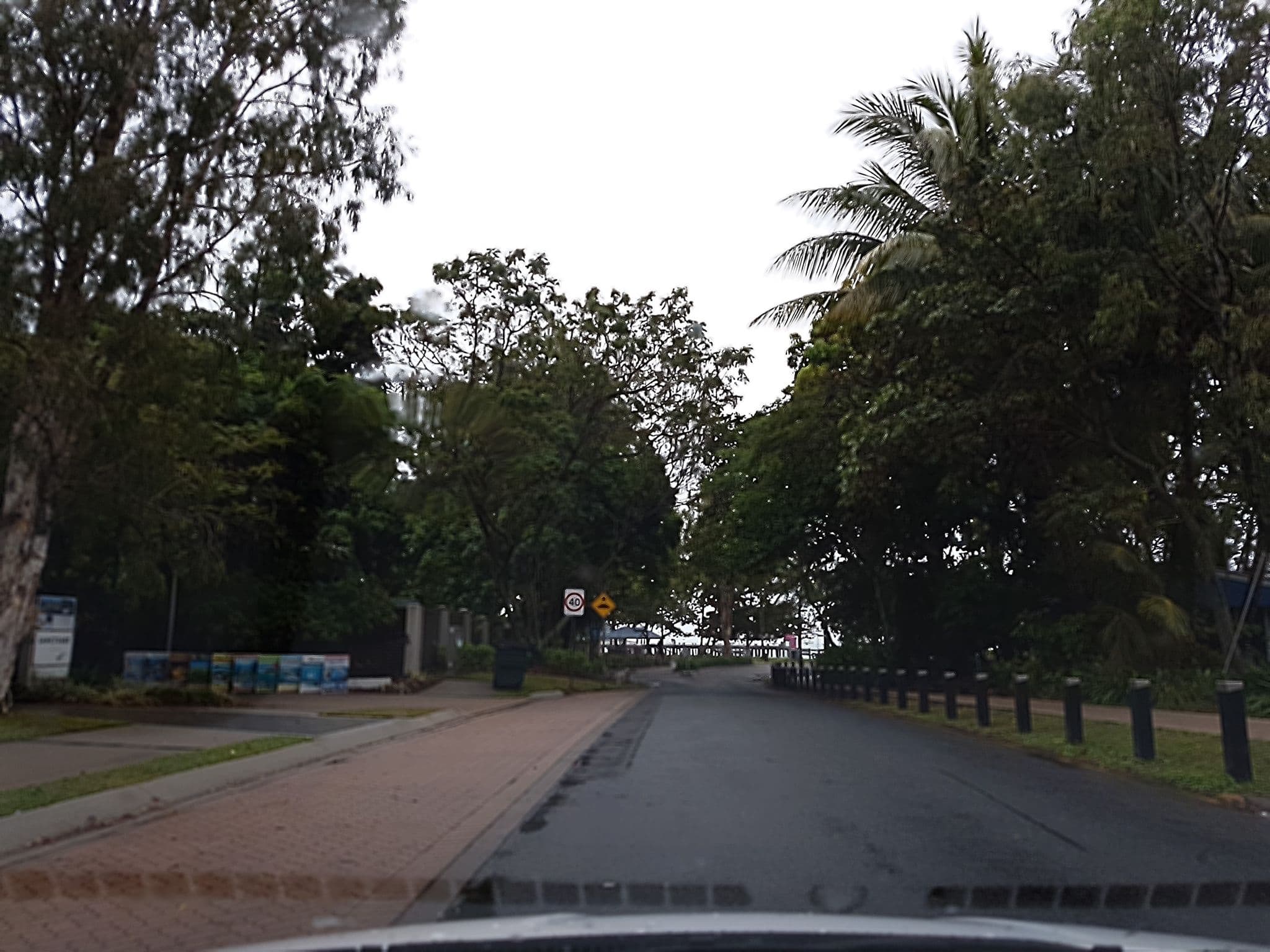 Street view near Sanctuary, Palm Cove — © stev391 (CC BY-SA · Mapillary)