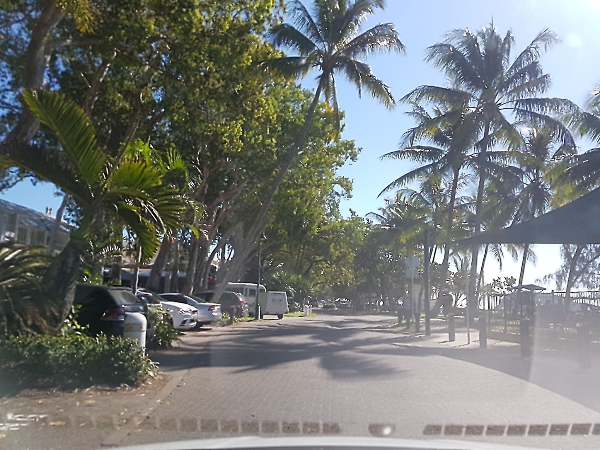 Street view near Paradise on the Beach, Palm Cove — © stev391 (CC BY-SA · Mapillary)