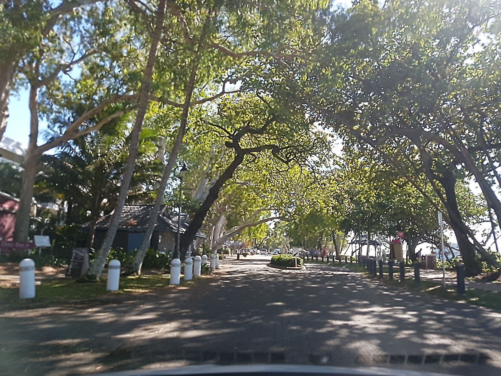 Street view near The Beach Club, Palm Cove — © stev391 (CC BY-SA · Mapillary)