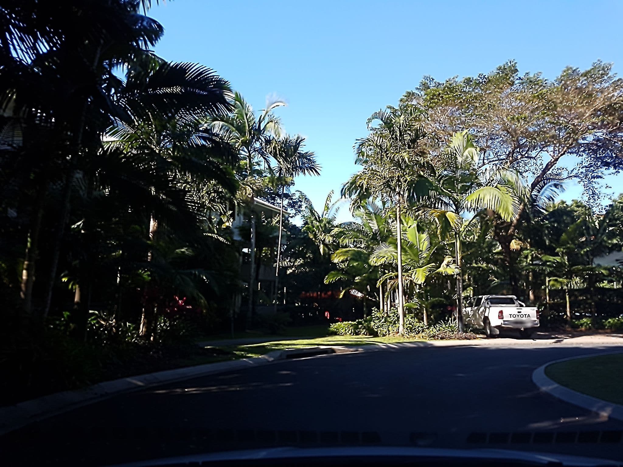 Street view near Oasis Palm Cove, Palm Cove — © stev391 (CC BY-SA · Mapillary)