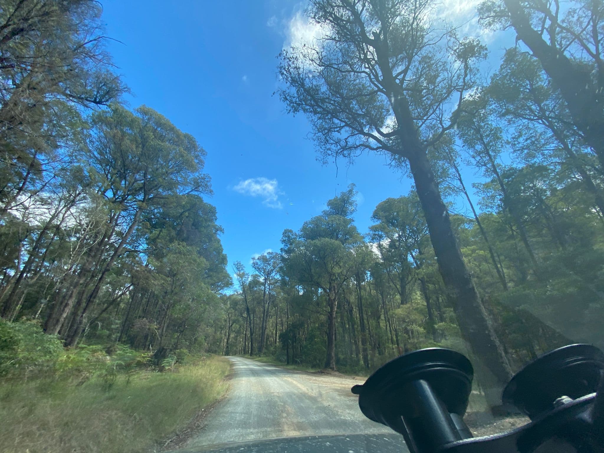 Street view near Mc Clelland Upper, Warburton — © hakk (CC BY-SA · Mapillary)