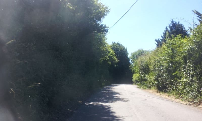 Street view near Borden Bees, Newington — © paulbiv (CC BY-SA · Mapillary)