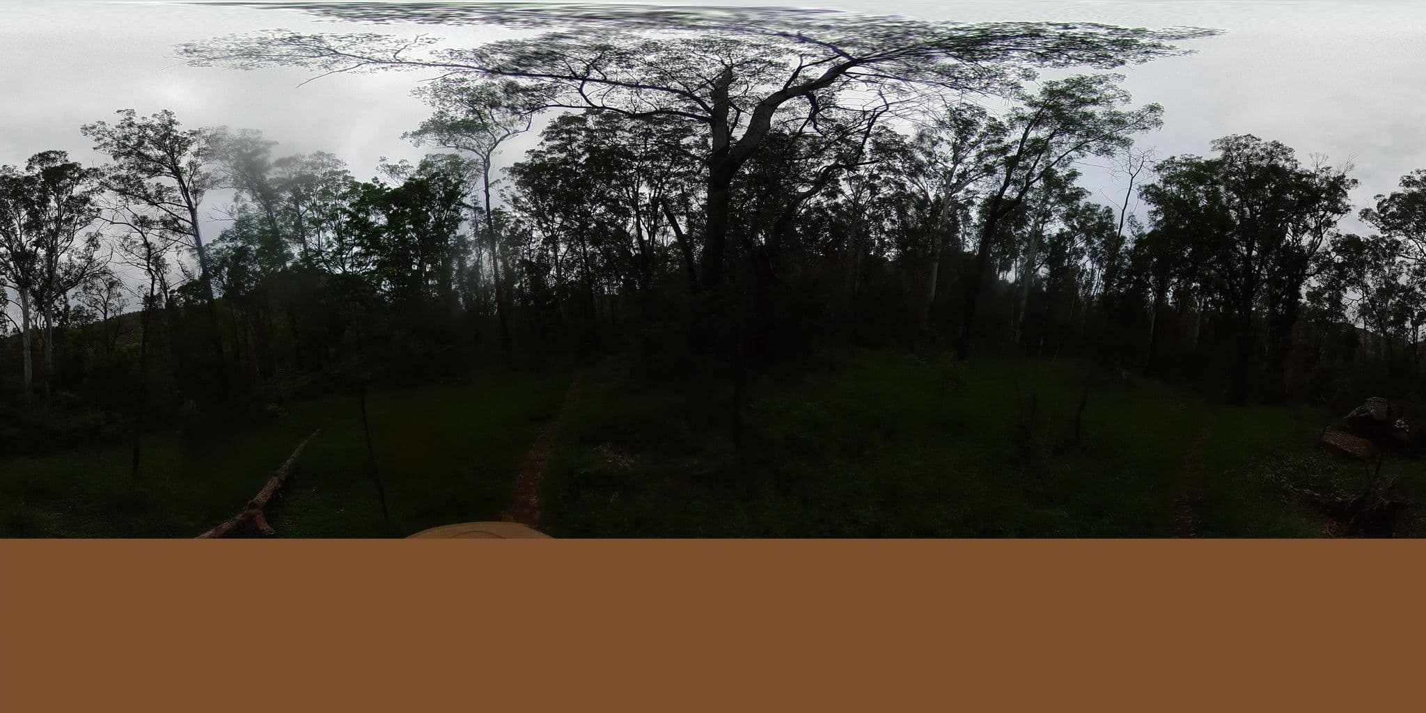 Street view near Acacia Flat Campground, Blackheath — © Wattle (CC BY-SA · Mapillary)
