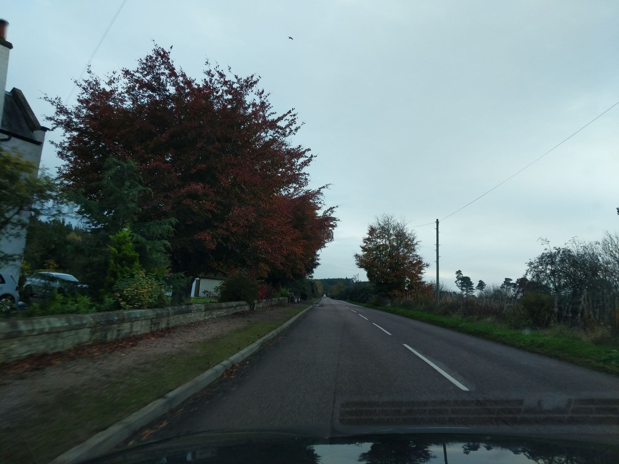 Street view near Pinewood Country House, Leuchars — © ccbb7766 (CC BY-SA · Mapillary)