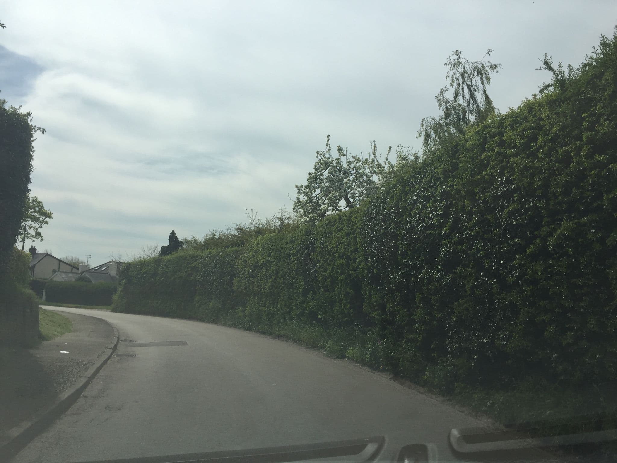 Street view near Bonningtons, Little Hallingbury — © essexboy (CC BY-SA · Mapillary)