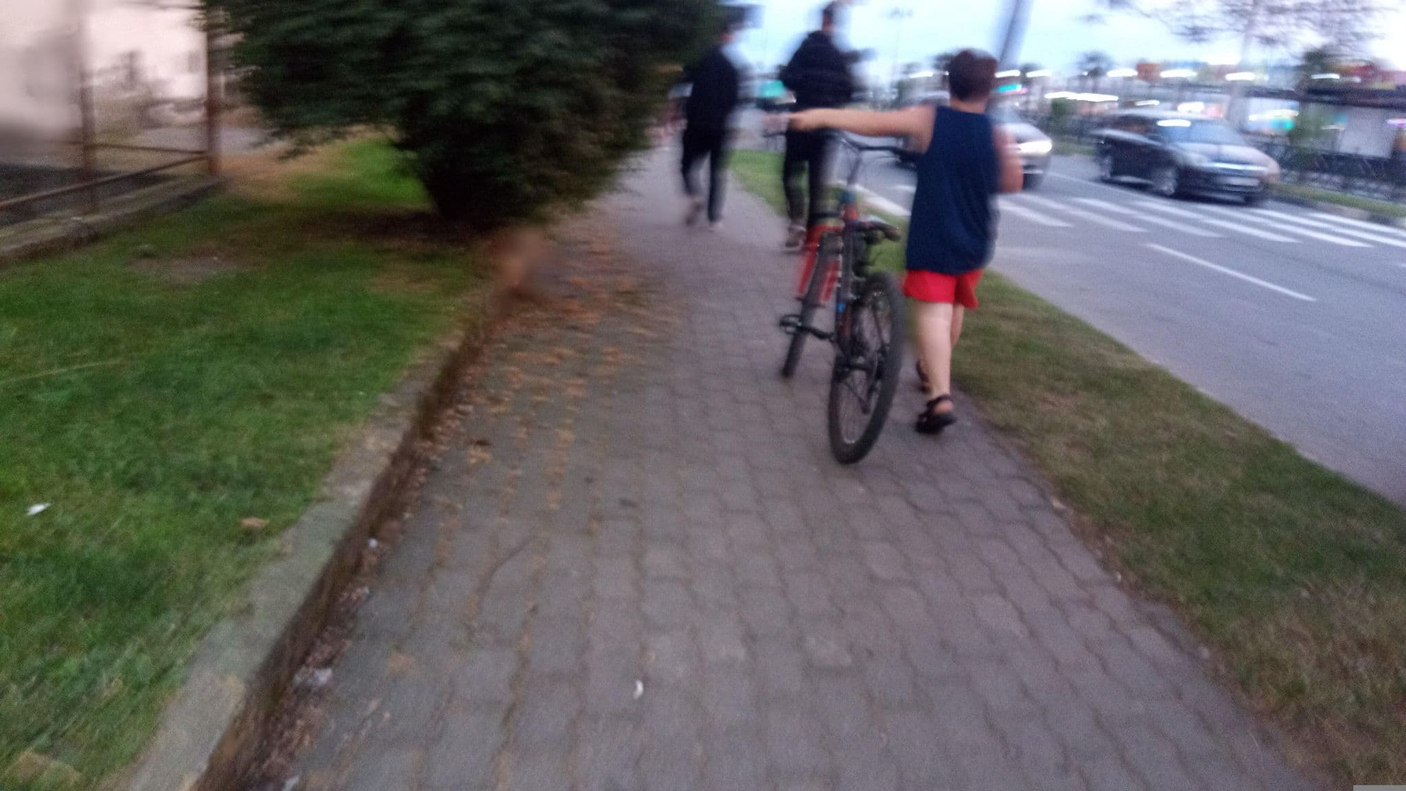 Street view near Barumi Home, Batumi