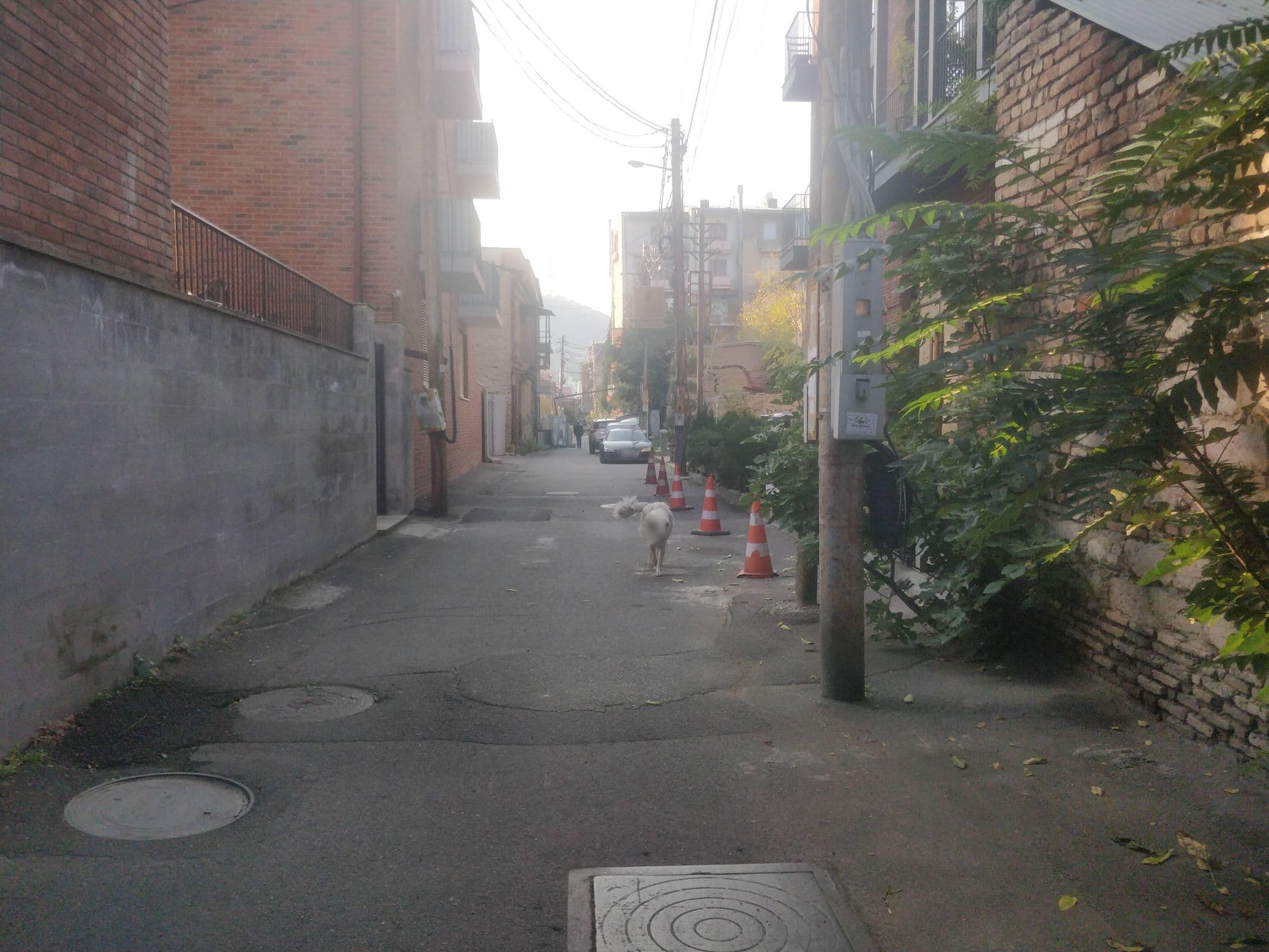 Street view near Tuta, Tbilisi — © dav23r (CC BY-SA · Mapillary)