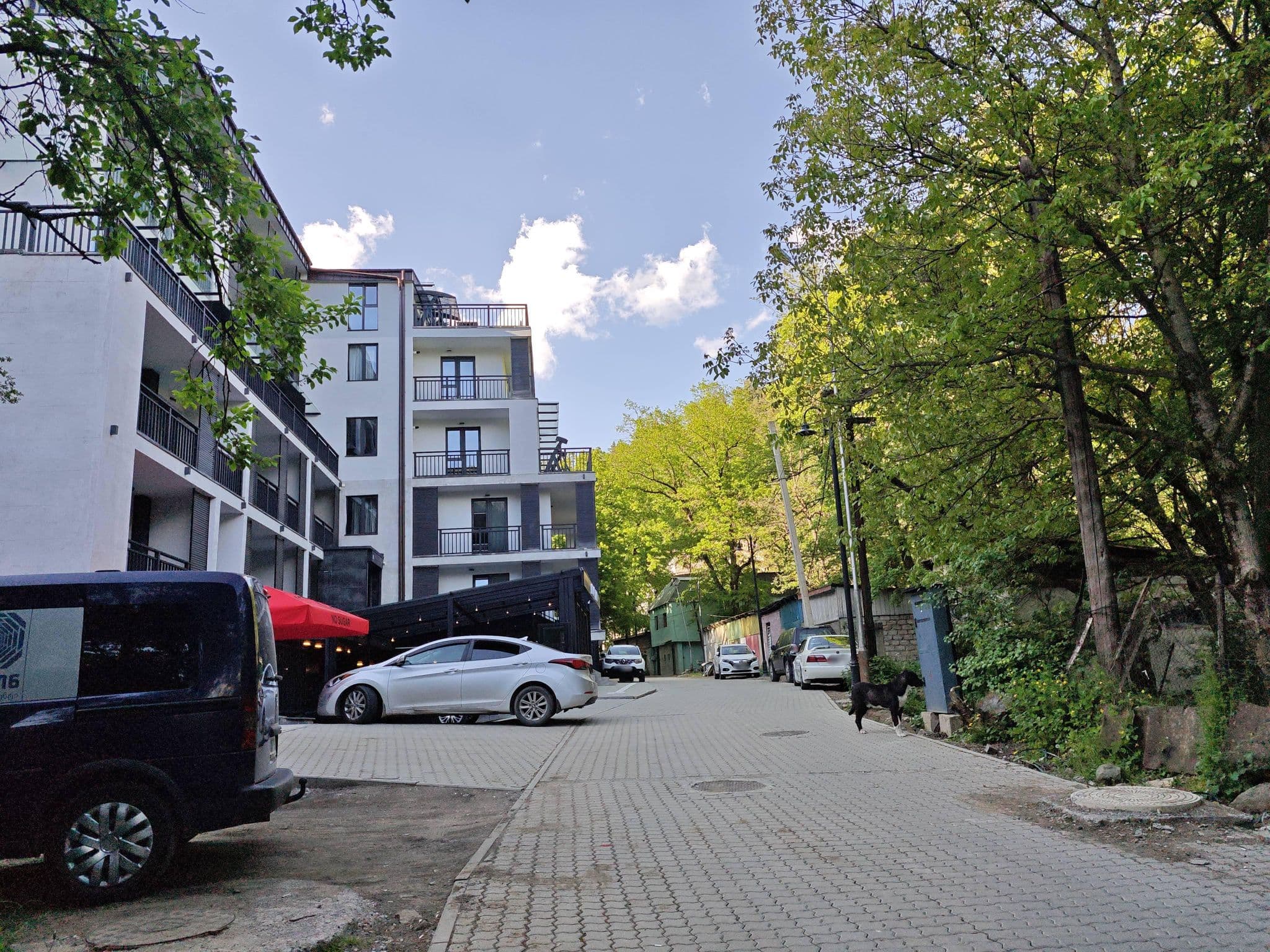 Street view near Eikon Apartments, Adigeni — © emptychild (CC BY-SA · Mapillary)