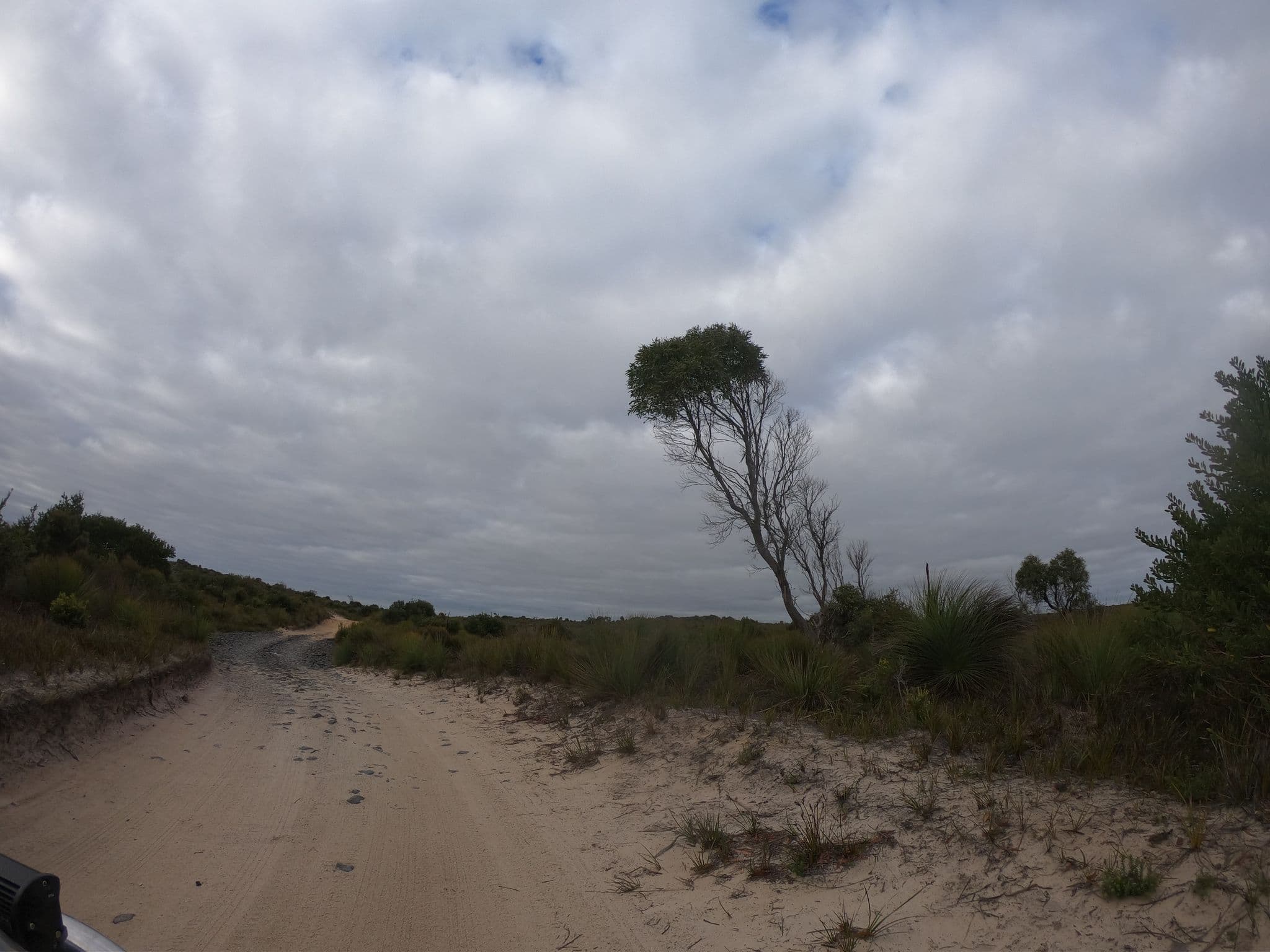 Street view near Casuarina Hill - Waterhouse Cons Area, Bridport — © tastrax (CC BY-SA · Mapillary)