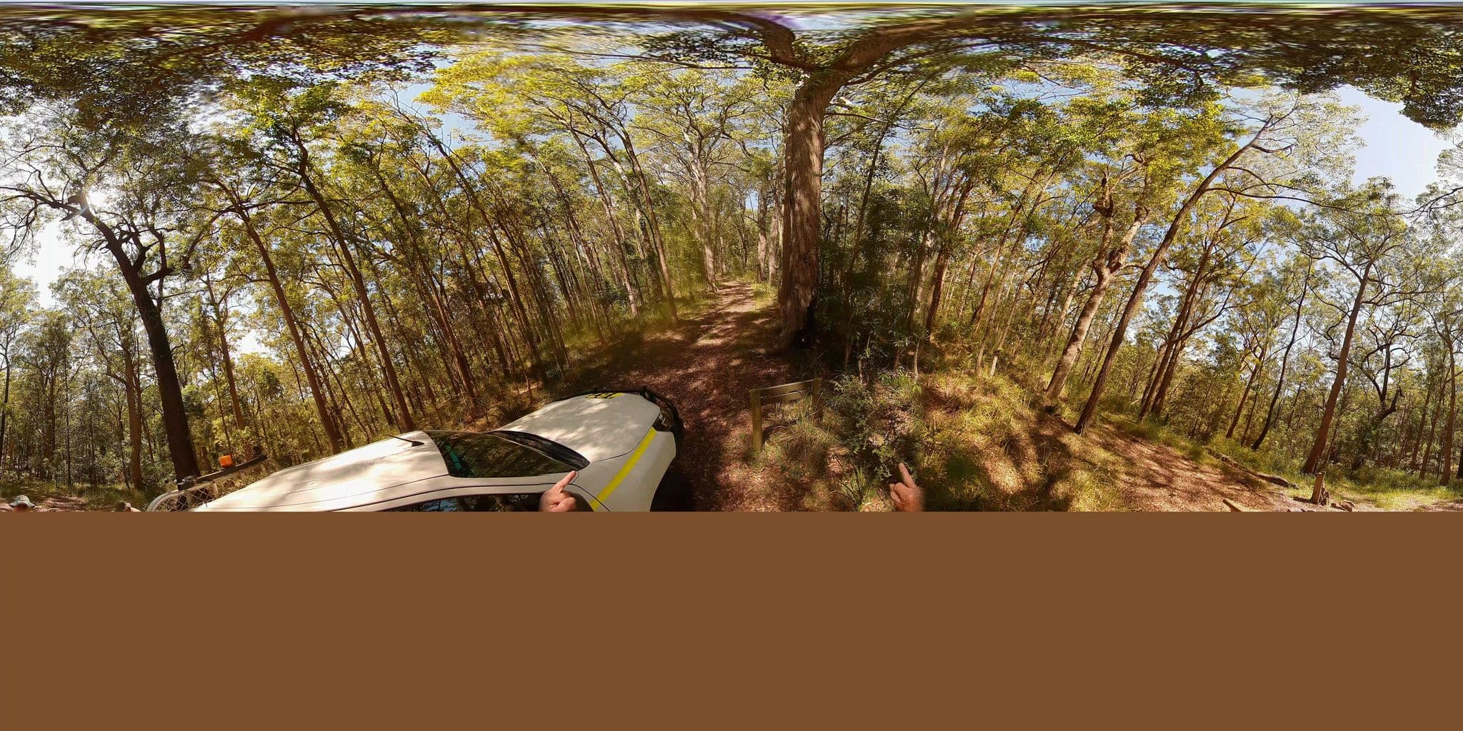 Street view near Palm Grove camping area, Ourimbah — © Eucalyptus (CC BY-SA · Mapillary)