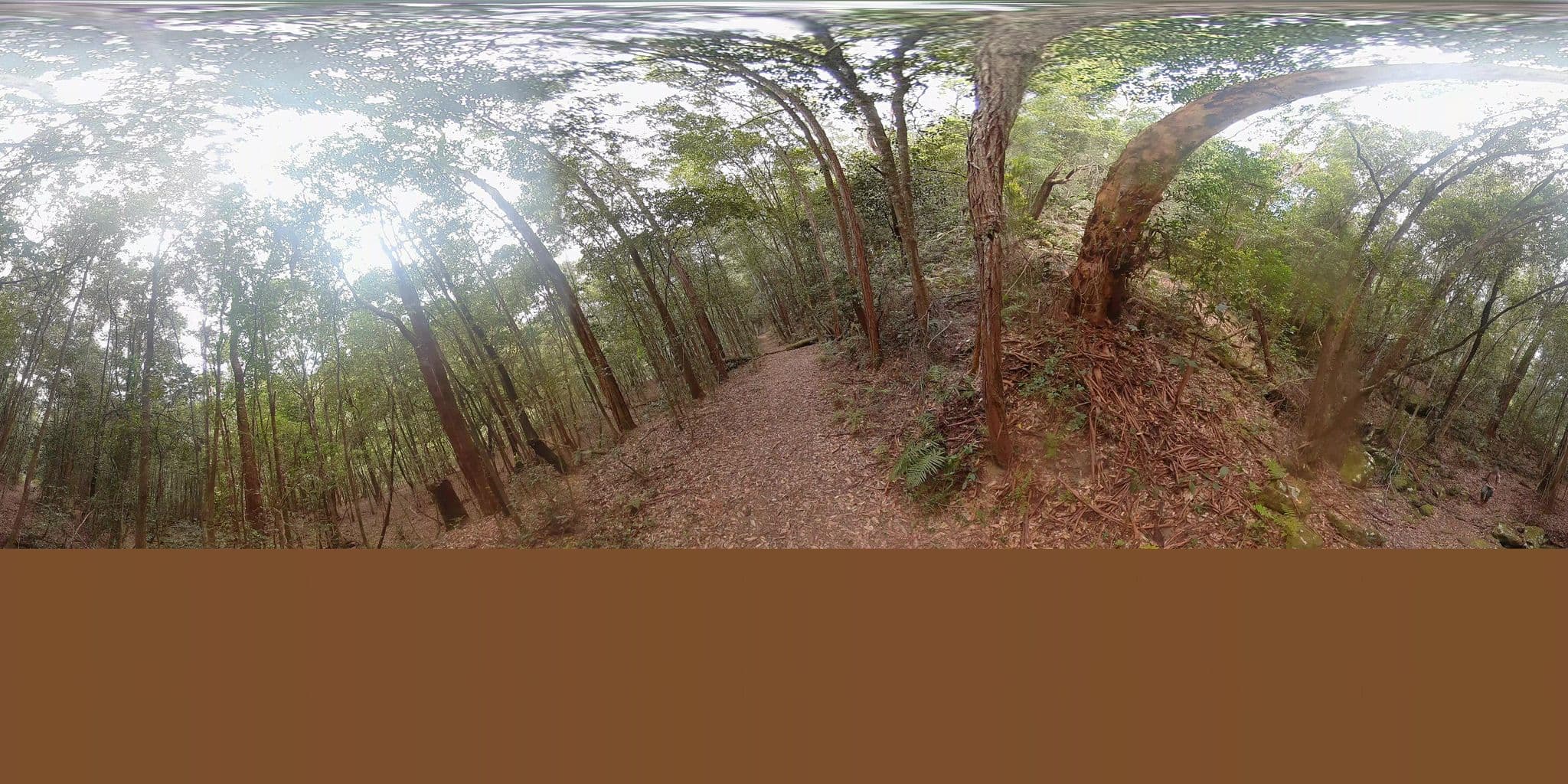 Street view near Mooney Mooney (Upper), Kariong — © Eucalyptus (CC BY-SA · Mapillary)