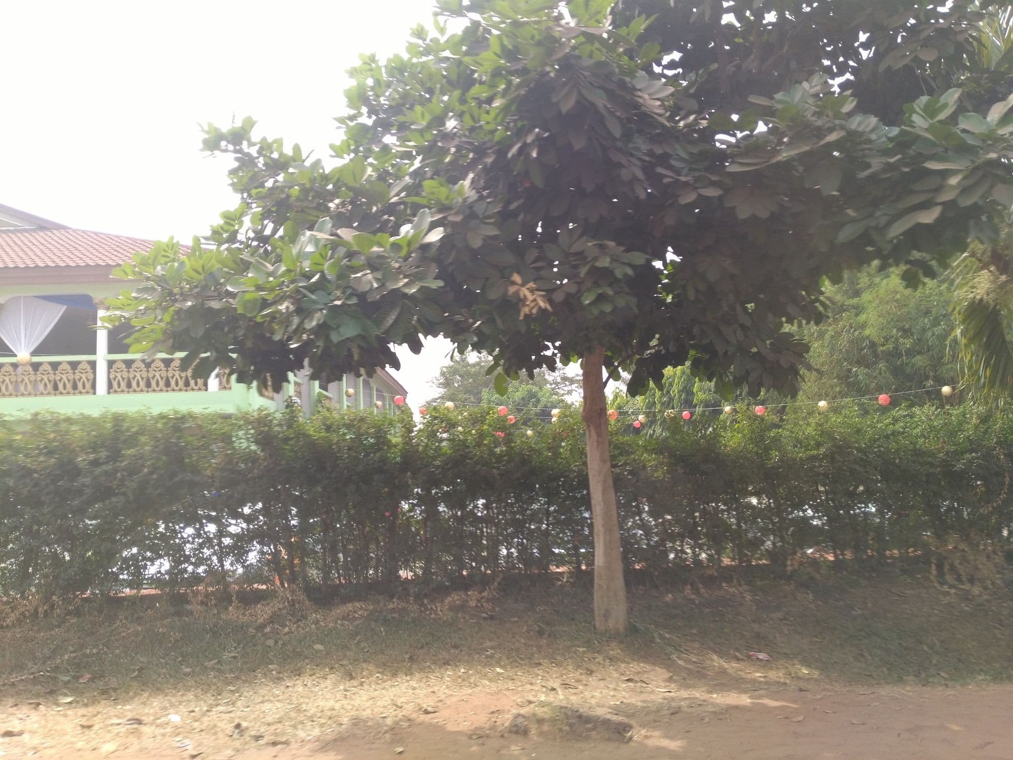 Street view near Jofel Hotel, New Tafo — © ralebipim (CC BY-SA · Mapillary)