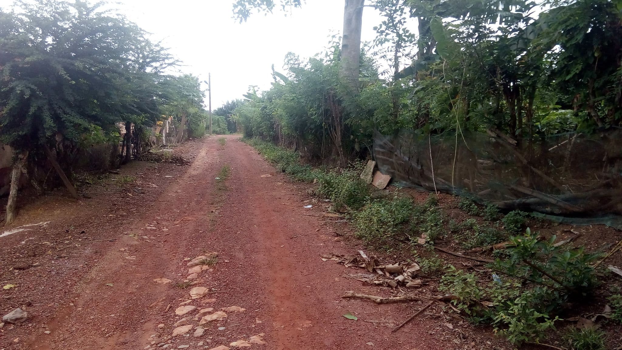 Street view near Solrob Hostel, Tarkwa — © kweikublankson (CC BY-SA · Mapillary)