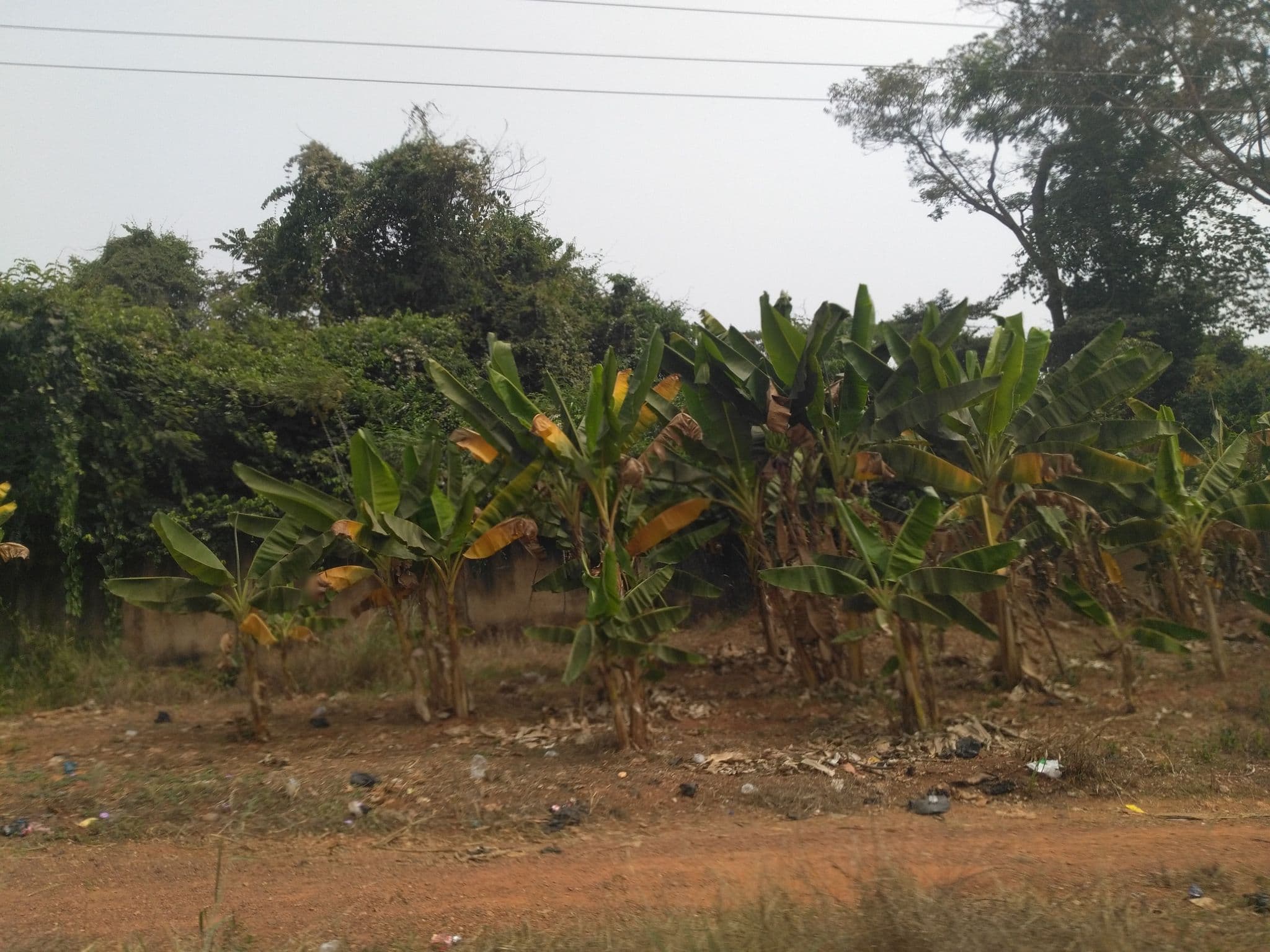 Street view near Ghana Poet Lodge, Kumasi