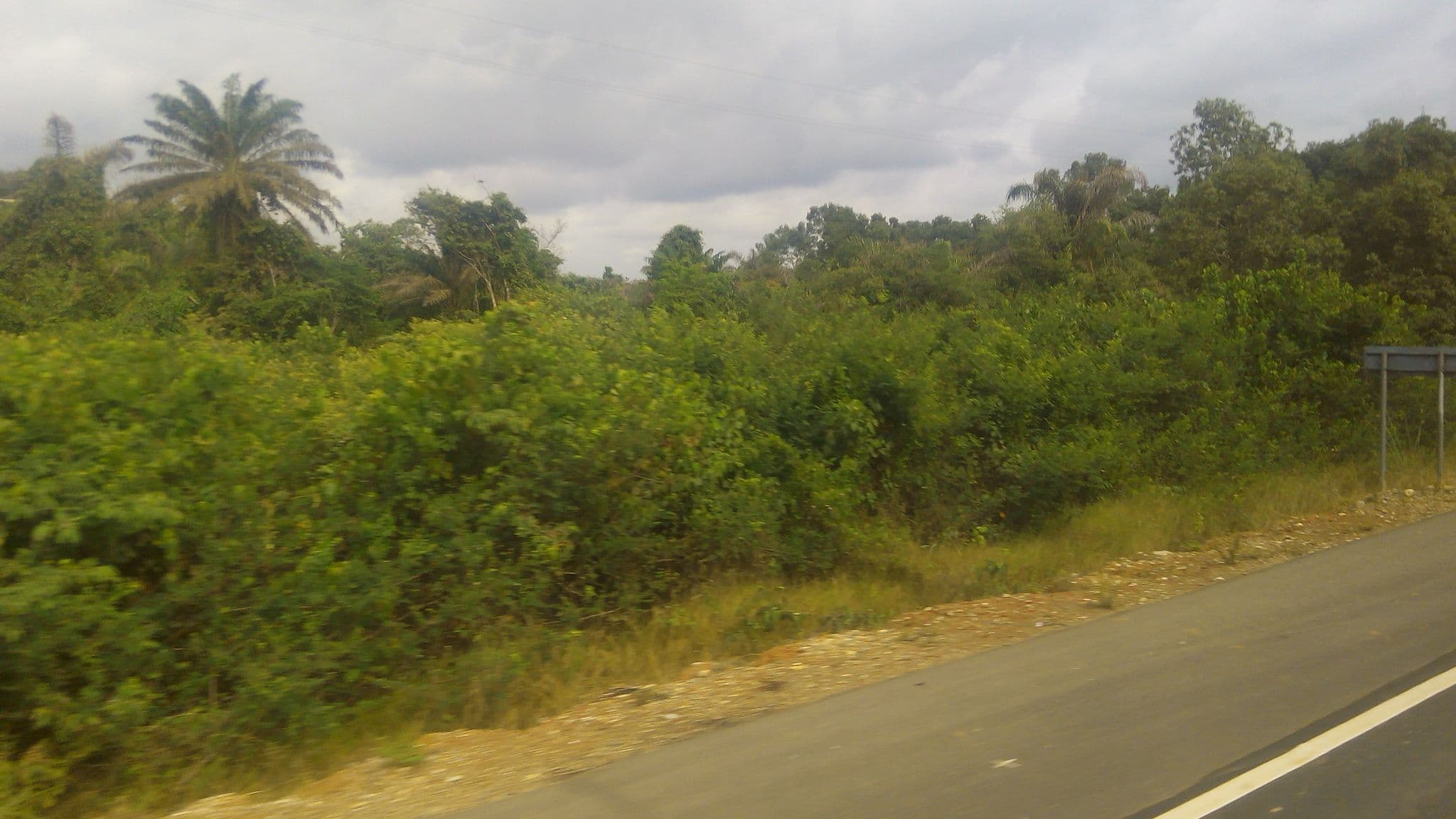 Street view near Ankobra Bridge, Esim — © phidiasazo (CC BY-SA · Mapillary)