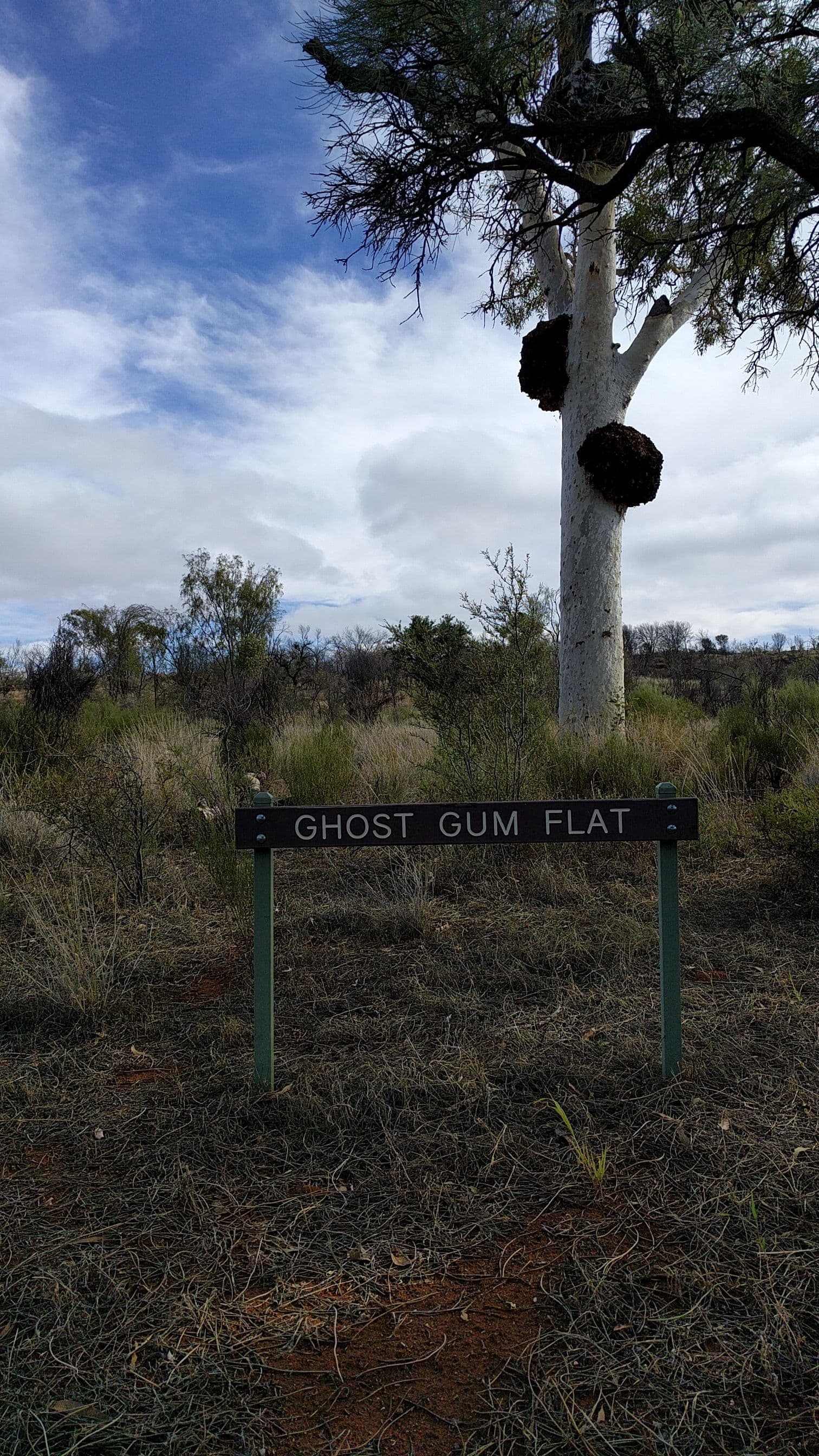 Street view near Ghost Gum Flat, Larapinta — © quitetall (CC BY-SA · Mapillary)