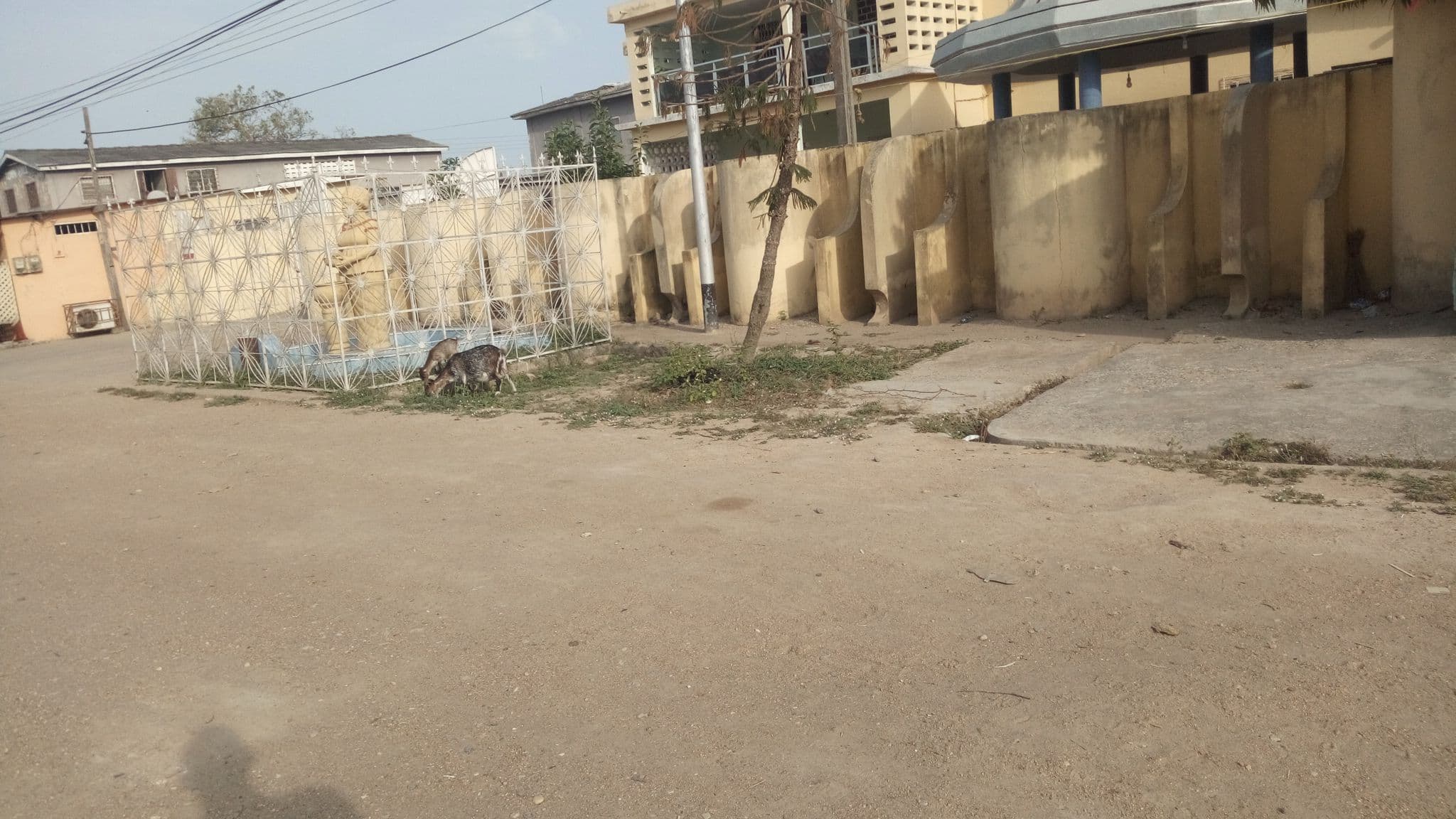 Street view near Mansec Hostel, Winneba — © ameleke (CC BY-SA · Mapillary)