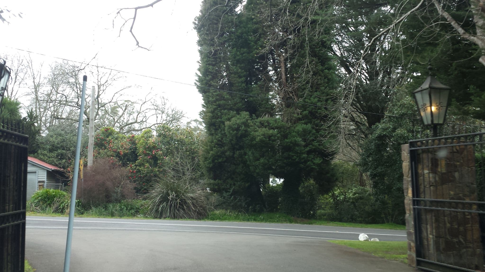 Street view near Marybrooke Manor, Sassafras — © stev391 (CC BY-SA · Mapillary)