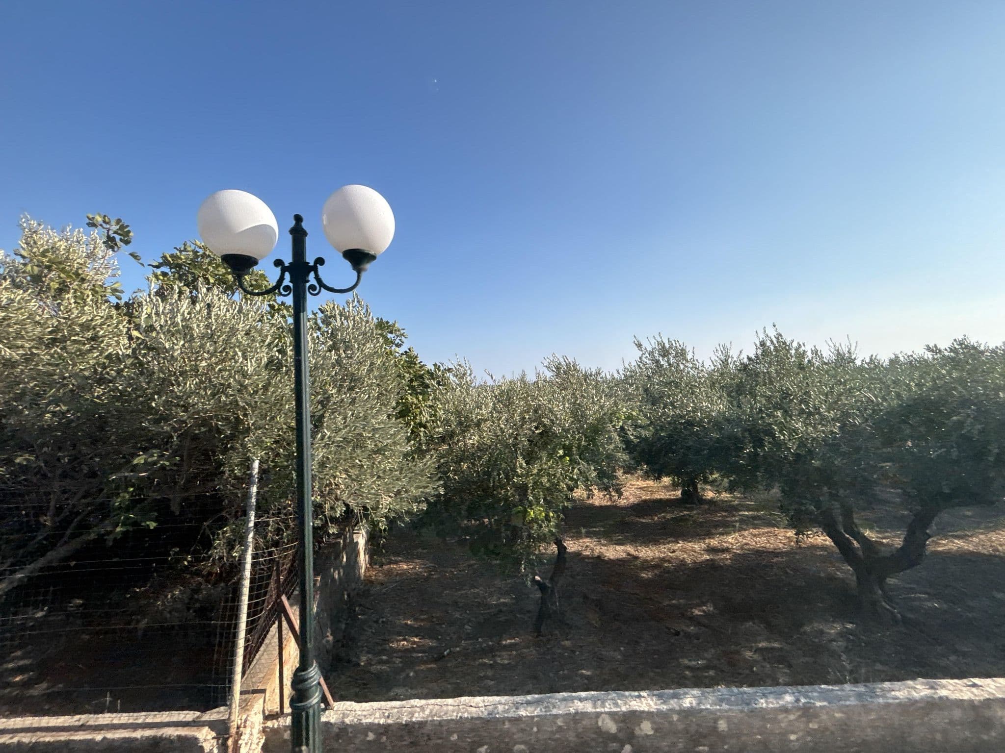 Street view near Livanina, Marathókampos — © robot8a (CC BY-SA · Mapillary)