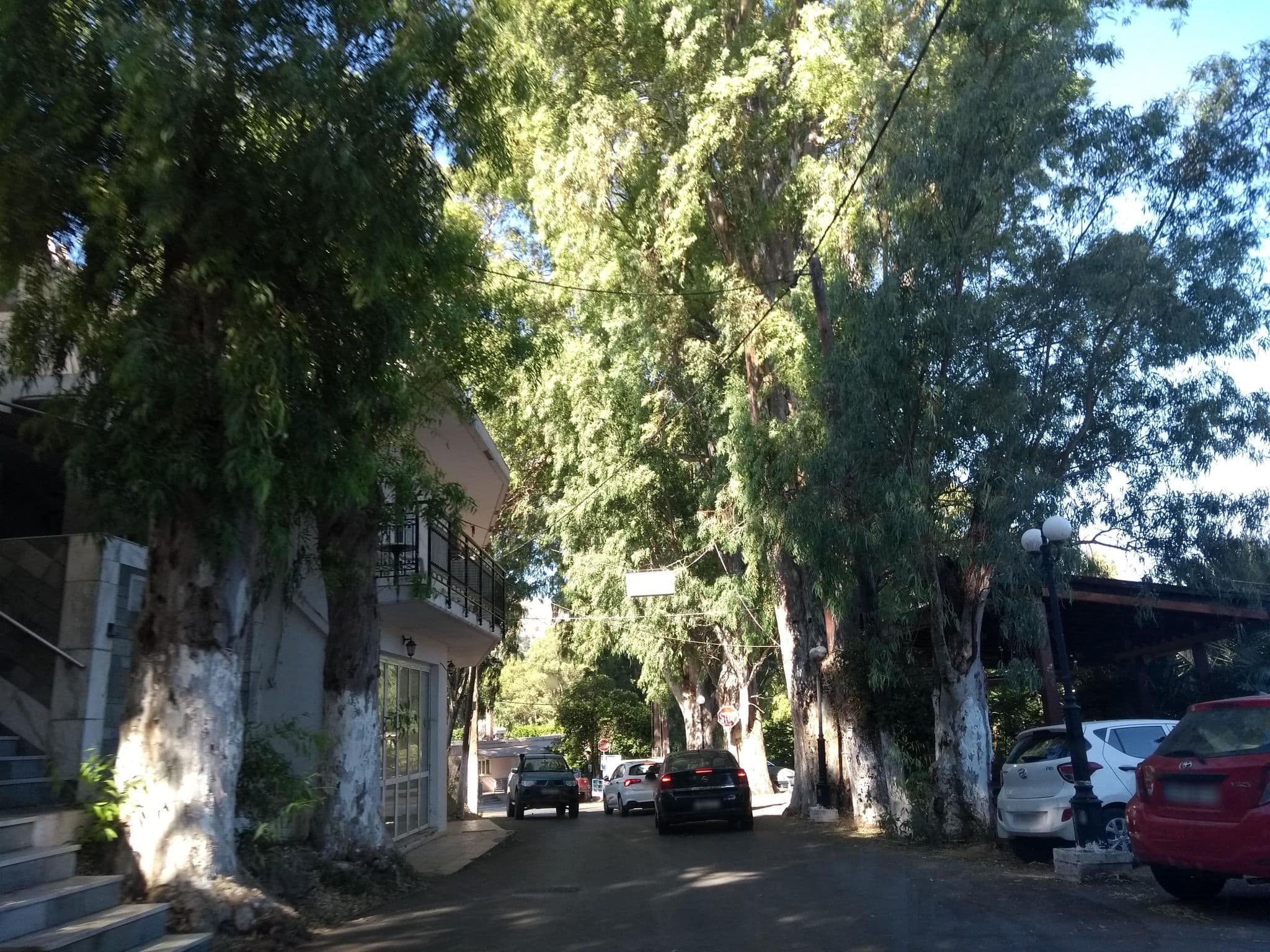 Street view near Christina Rooms and Studios, Georgioupolis