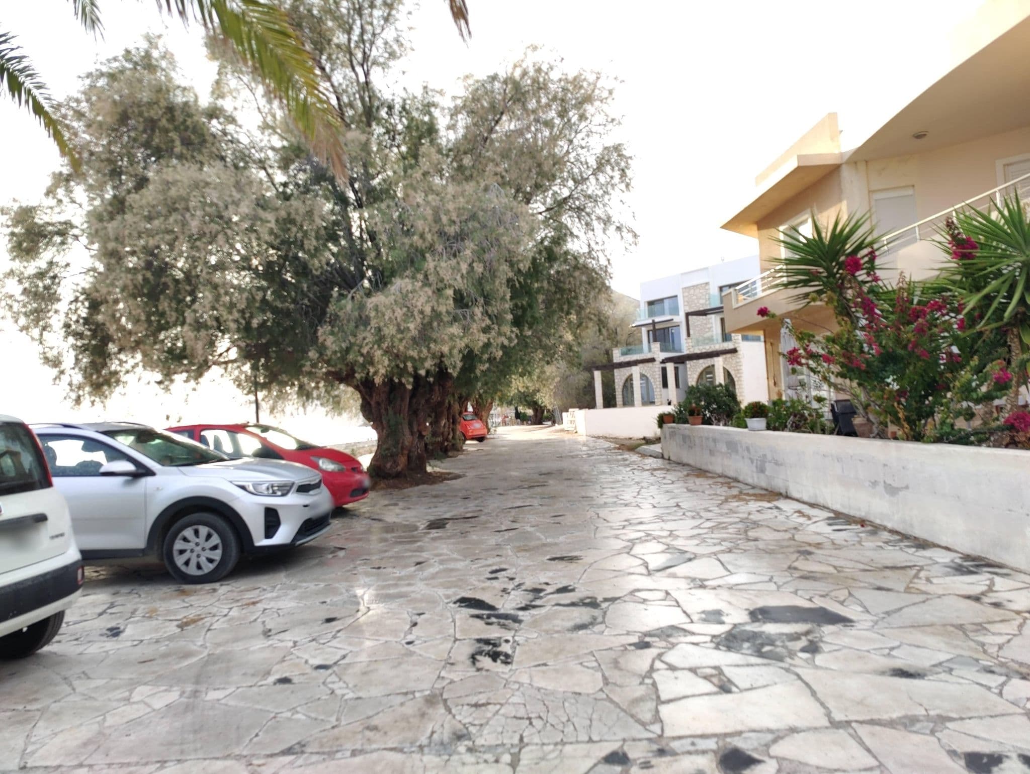 Street view near Villanostos, Néa Anatolí — © pelgrim (CC BY-SA · Mapillary)