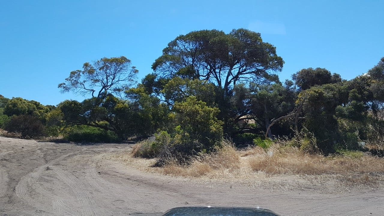 Street view near Next Door, Kingscote — © didz (CC BY-SA · Mapillary)