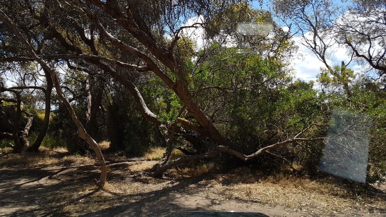 Street view near Retreat, Kingscote — © didz (CC BY-SA · Mapillary)