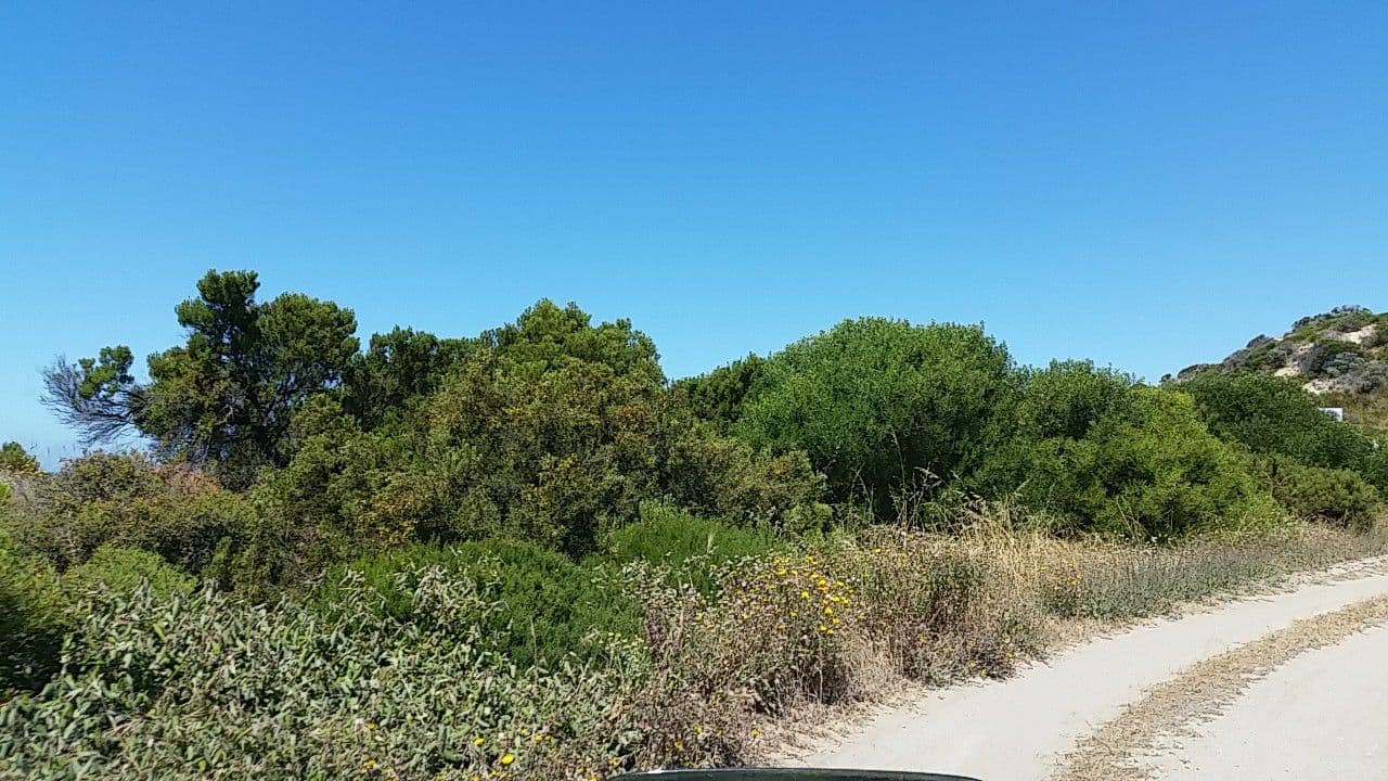 Street view near Salmon Sleepout, Kingscote — © didz (CC BY-SA · Mapillary)